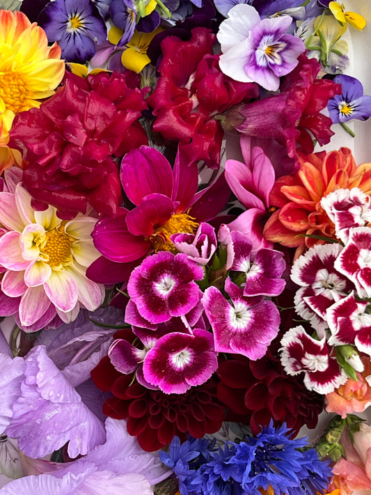 Edible Flowers