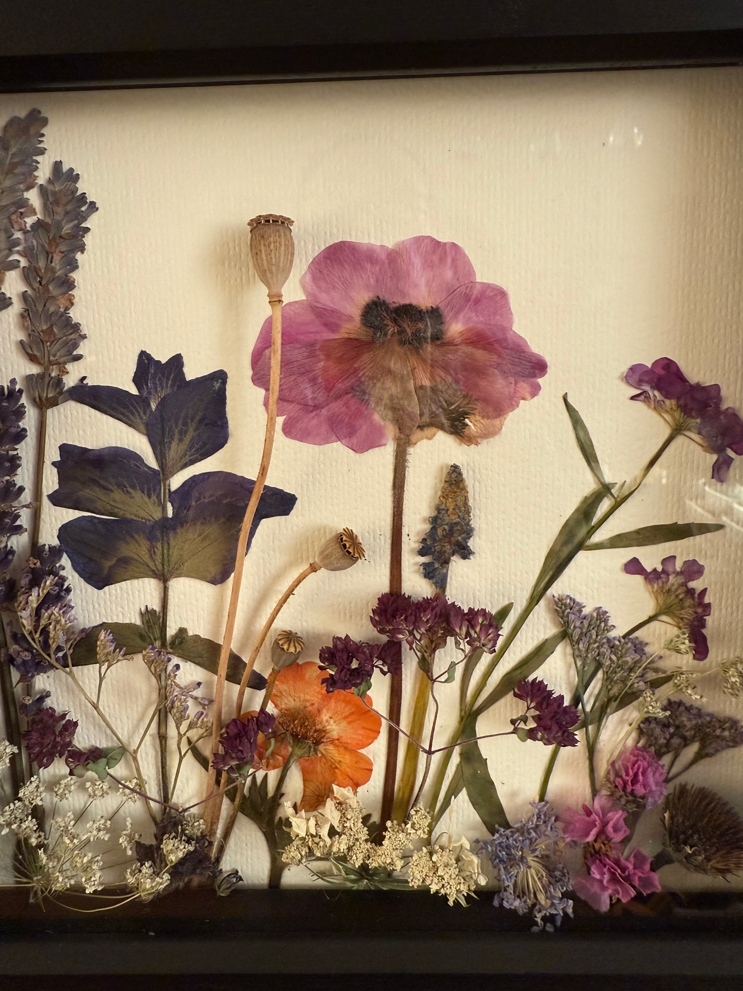 Summer Meadow Pressed & Dried Flower Art - Scottish Botanical Landscape Picture