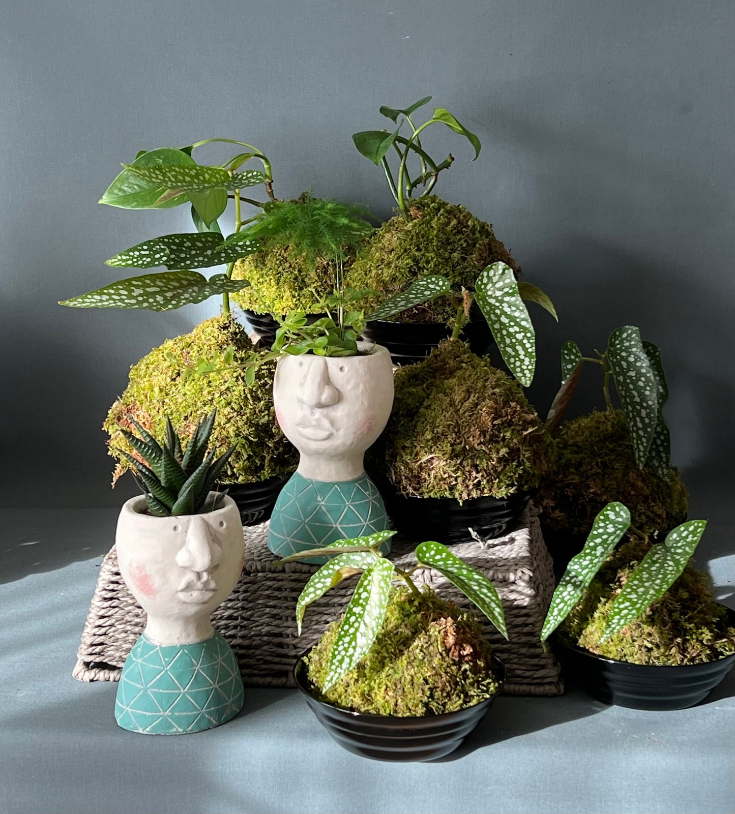 Kokedama