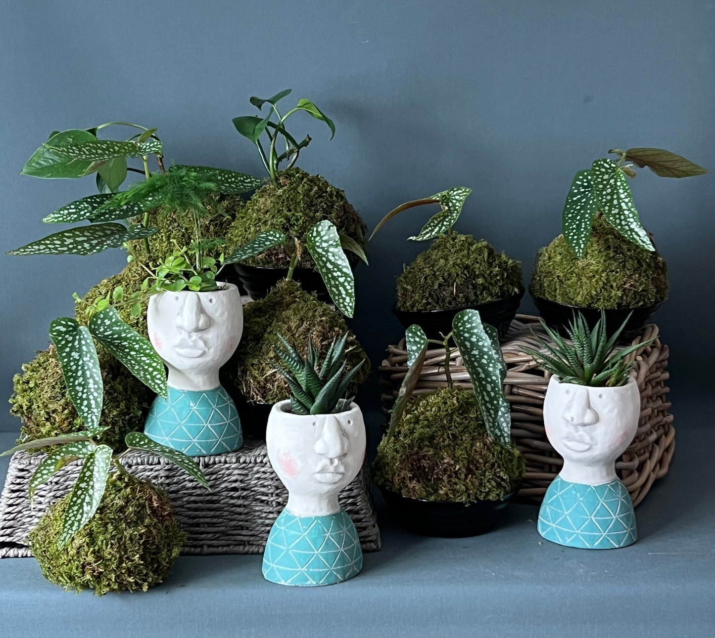 Kokedama