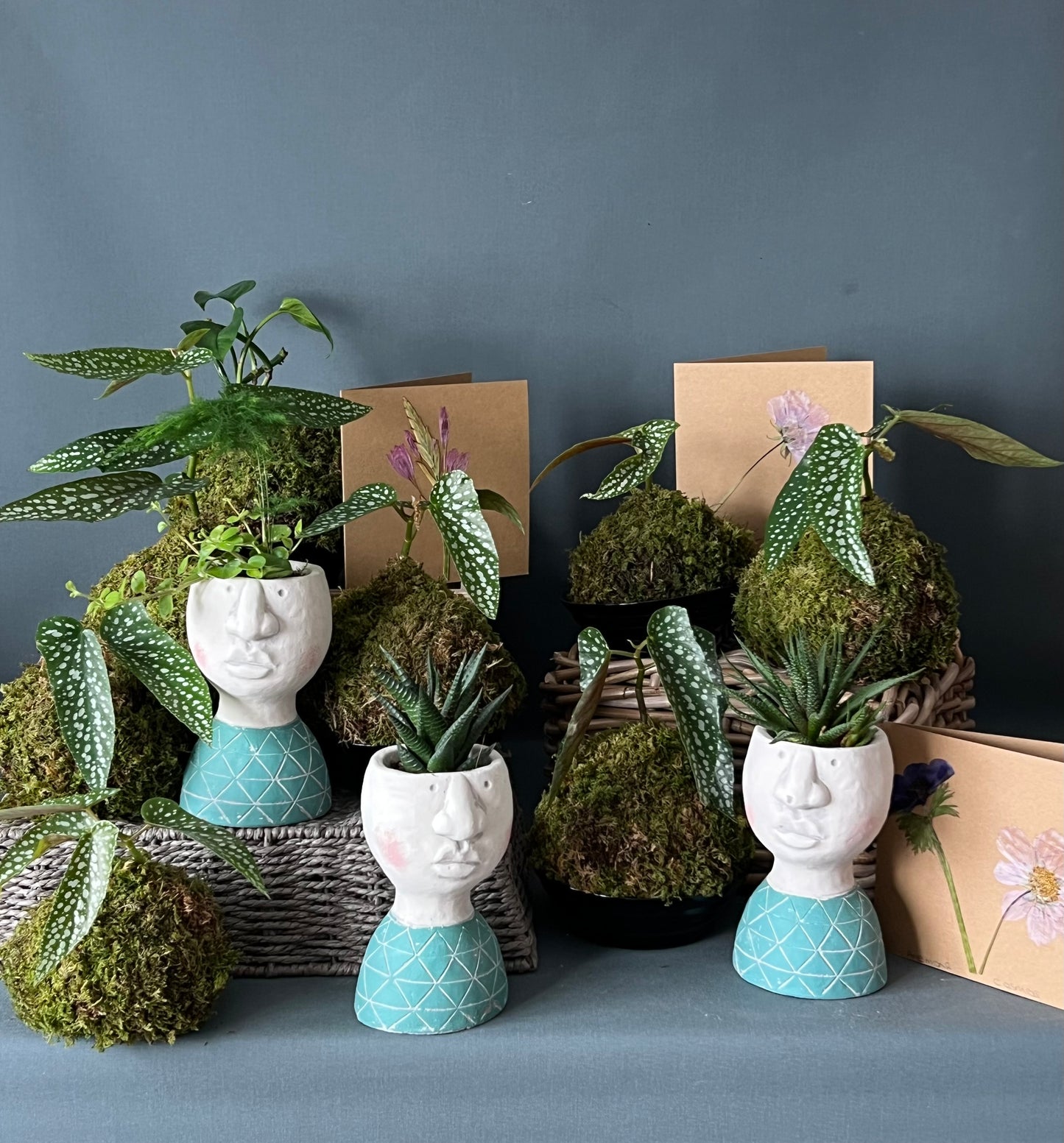 Kokedama