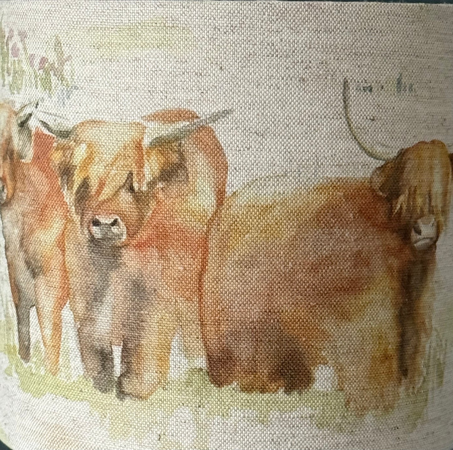 Arran Gin 'paired' with Highland Cow Fabric Shade