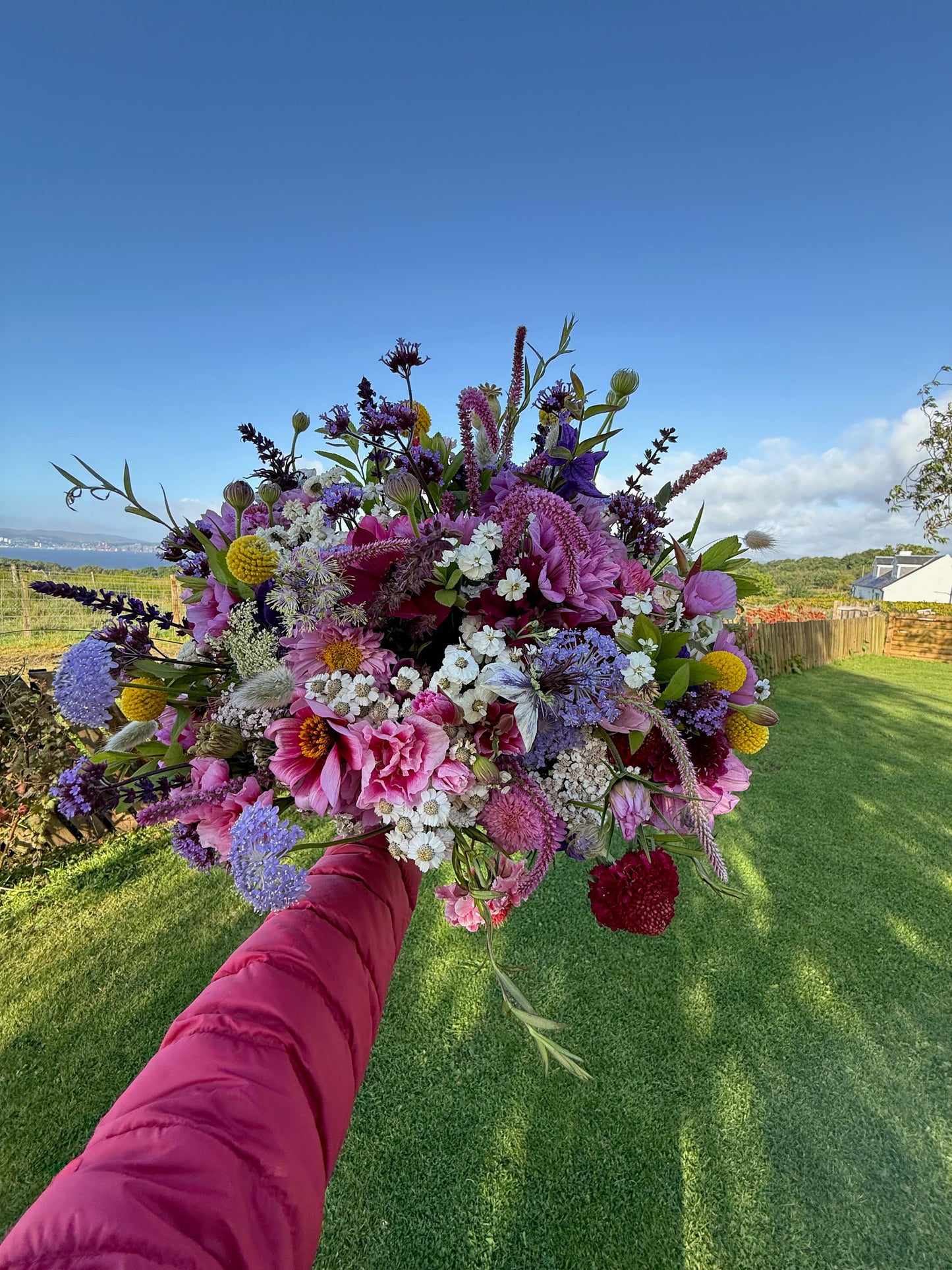 The Garden - Seasonal Scottish Flowers