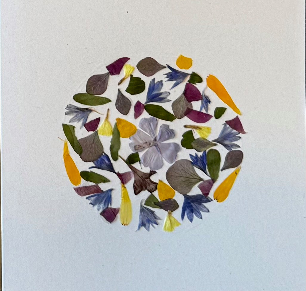 Flower Pressing Workshop – Learn to Press & Preserve Your Own Flowers (Bespoke)