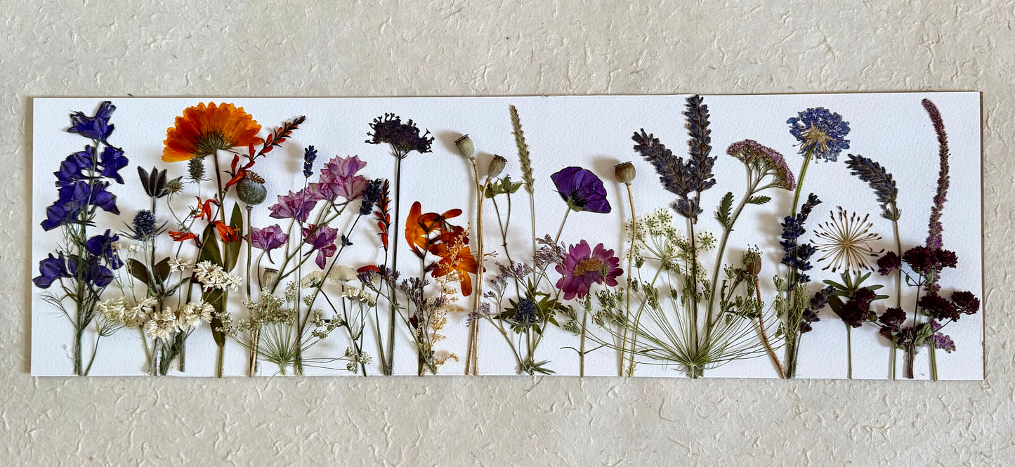'Summer Meadow'