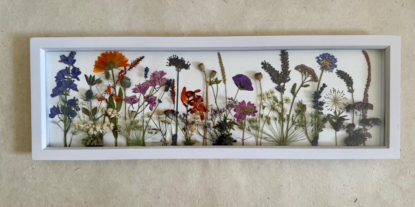 'Summer Meadow'