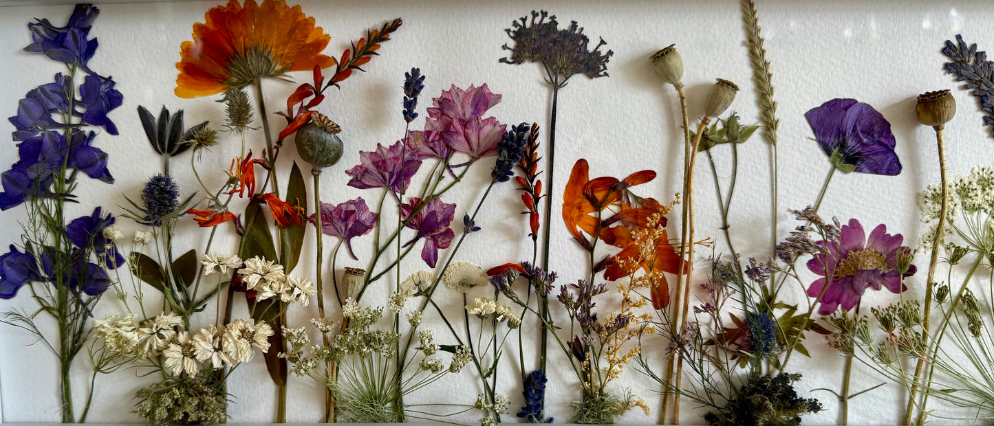 'Summer Meadow'