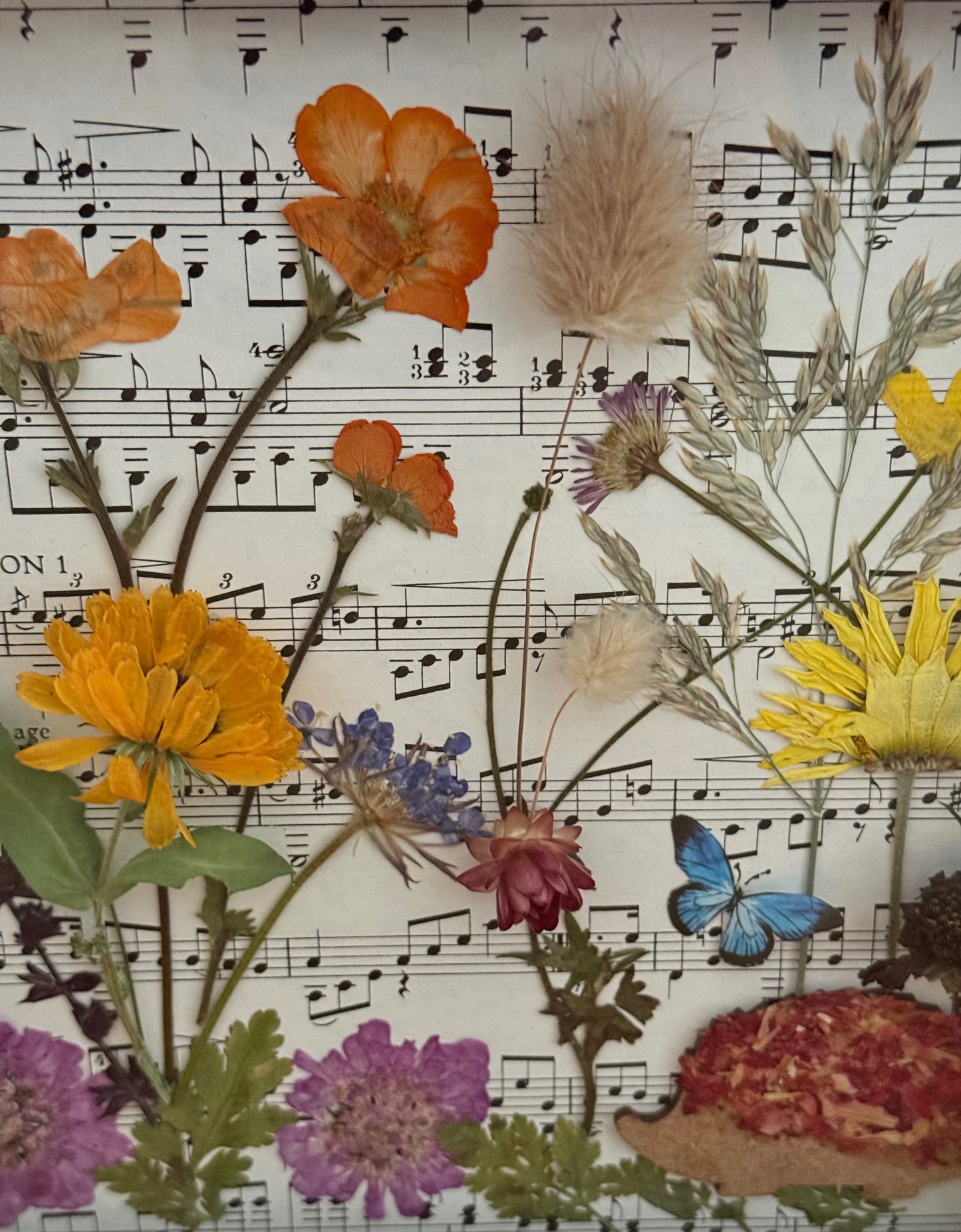 Botanical Hedgehog Meadowscape