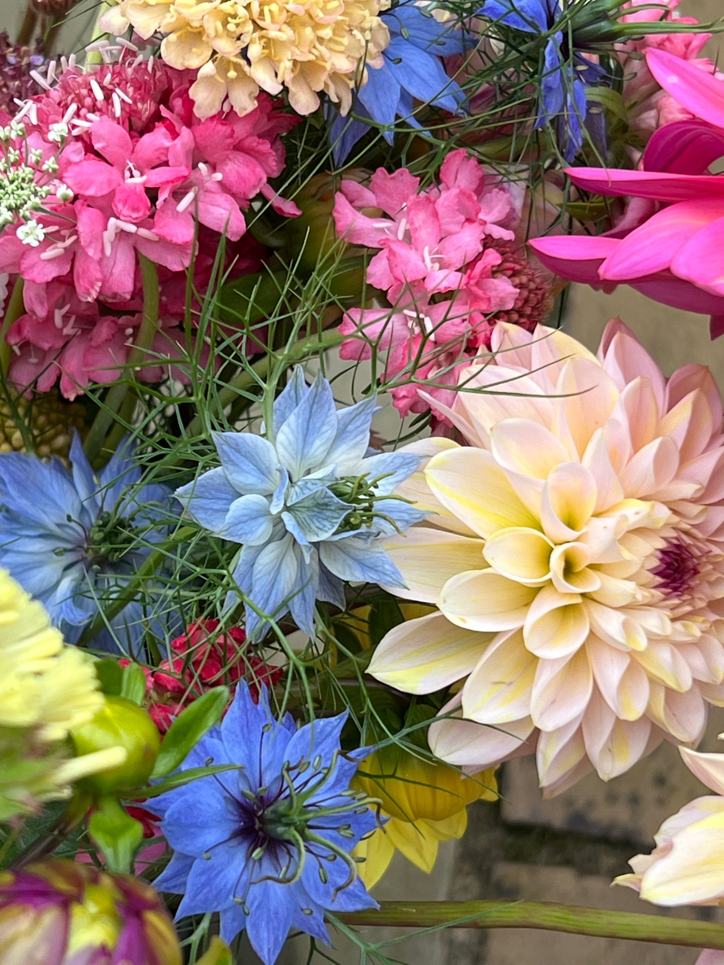 Home Farm Flowers & Crafts Gift Card