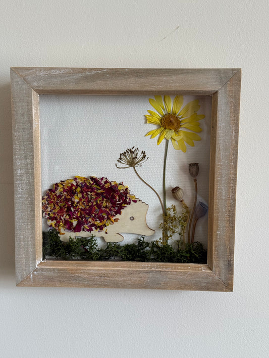 Botanical Hedgehog Pressed & Dried Flower Art - Supporting Hogwatch Dumbarton