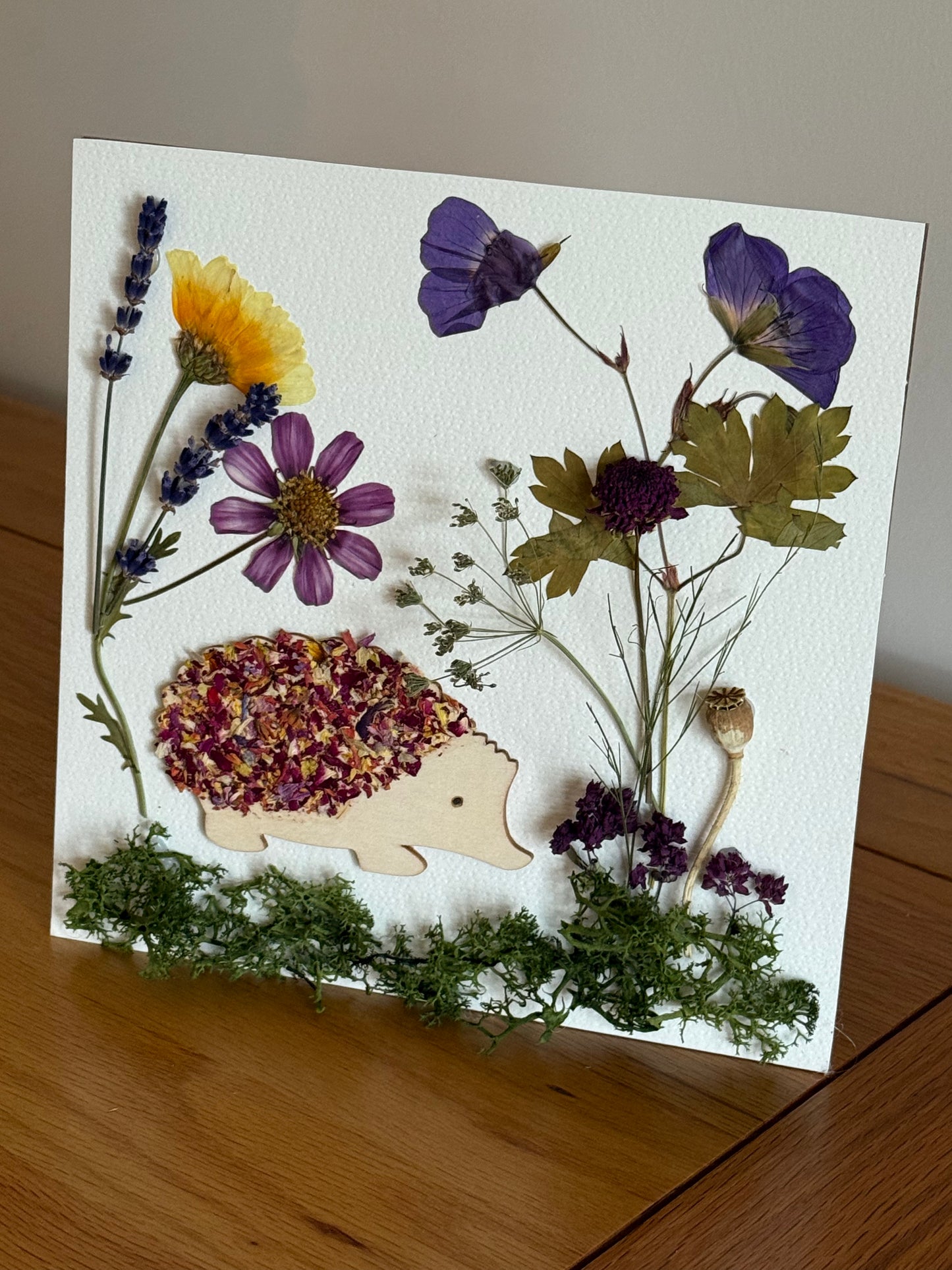Botanical Hedgehog Pressed & Dried Flower Art - Supporting Hogwatch Dumbarton