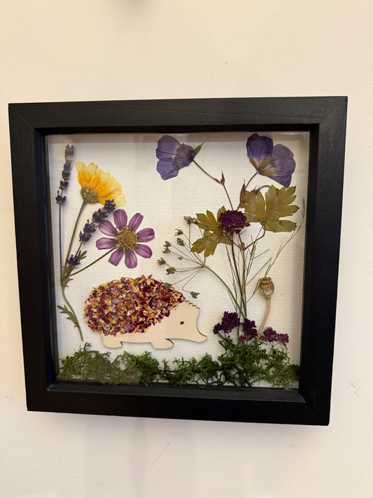 Botanical Hedgehog Pressed & Dried Flower Art - Supporting Hogwatch Dumbarton