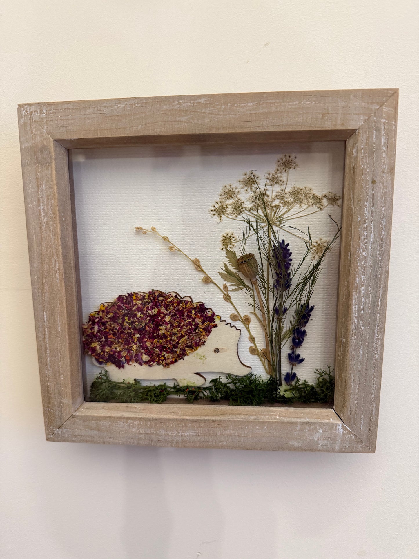 Botanical Hedgehog Pressed & Dried Flower Art - Supporting Hogwatch Dumbarton