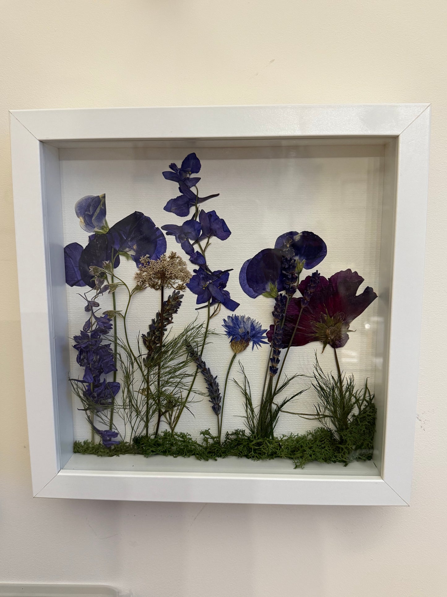 Summer Meadow Pressed & Dried Flower Art - Scottish Botanical Landscape Picture