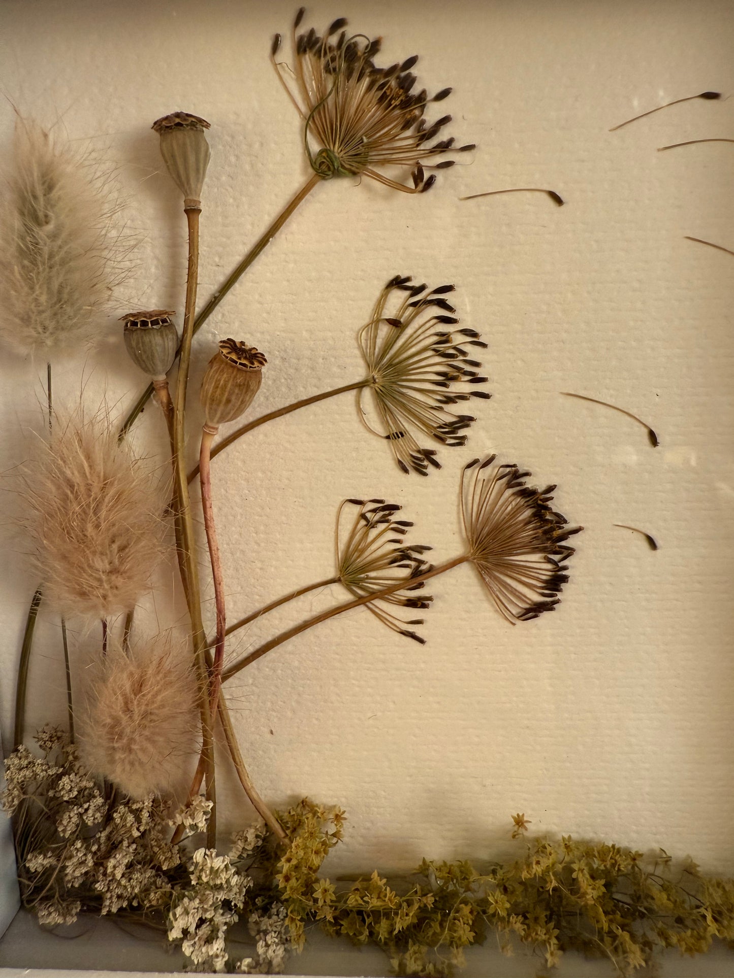 Summer Meadow Pressed & Dried Flower Art - Scottish Botanical Landscape Picture