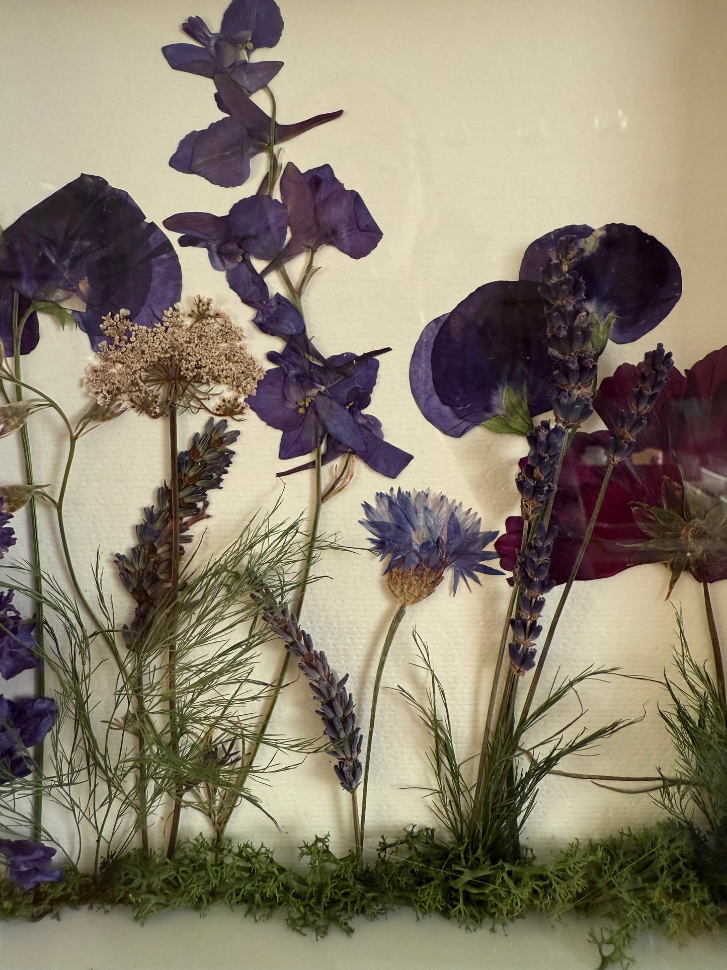 Summer Meadow Pressed & Dried Flower Art - Scottish Botanical Landscape Picture