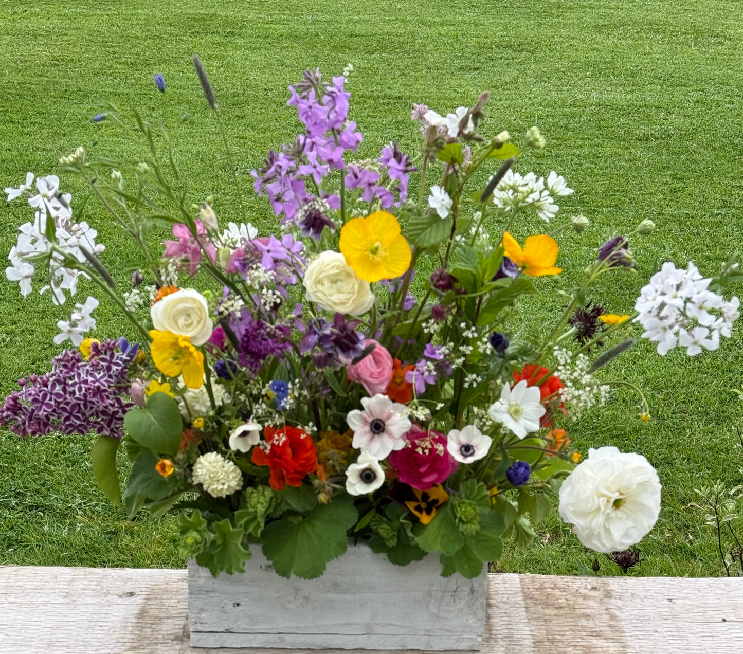 The Meadow Box – Seasonal Scottish Flowers