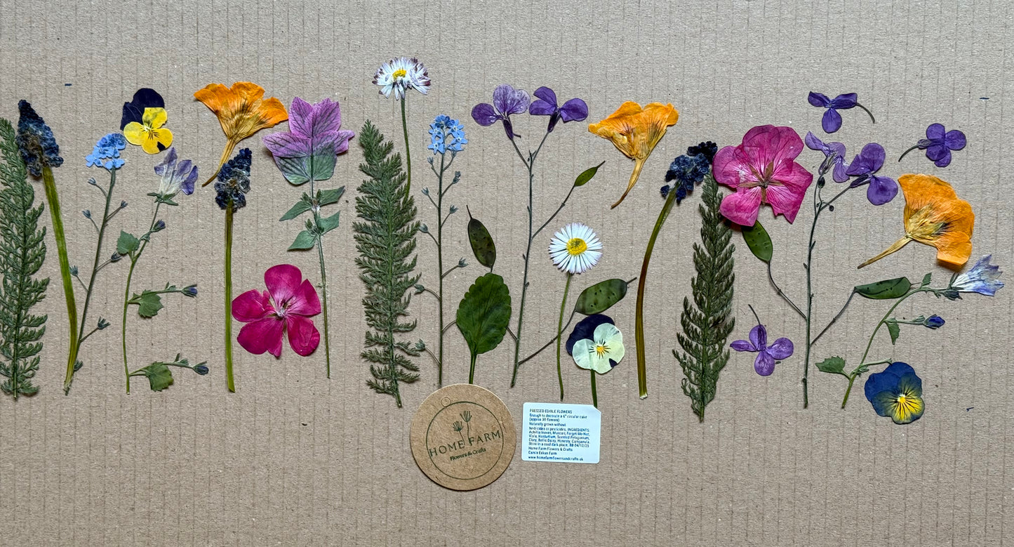 Pressed Edible Flowers - Mixed Varieties (11 inch cake pack)