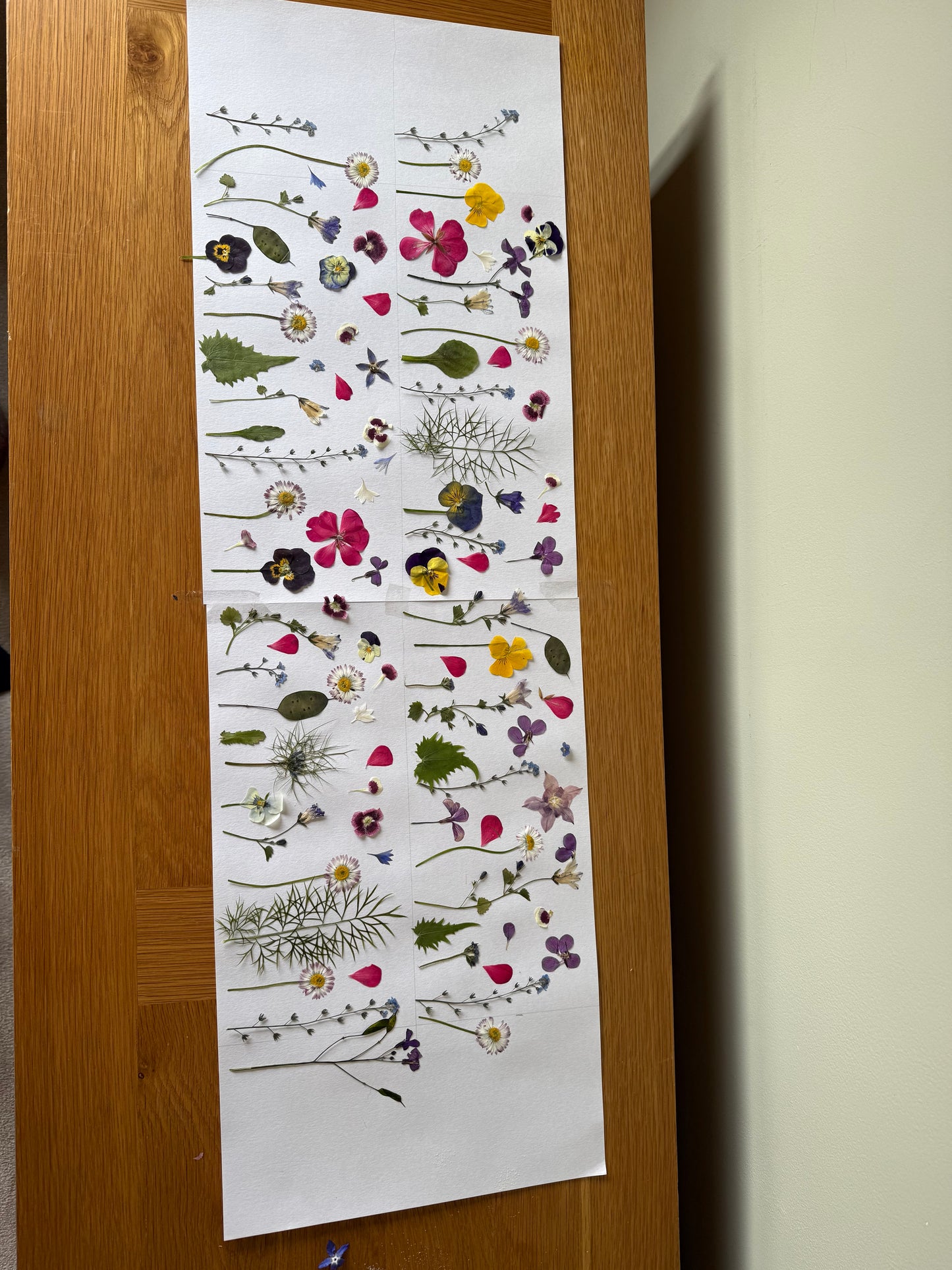 Pressed Edible Flowers - Mixed Varieties (9 inch cake pack)