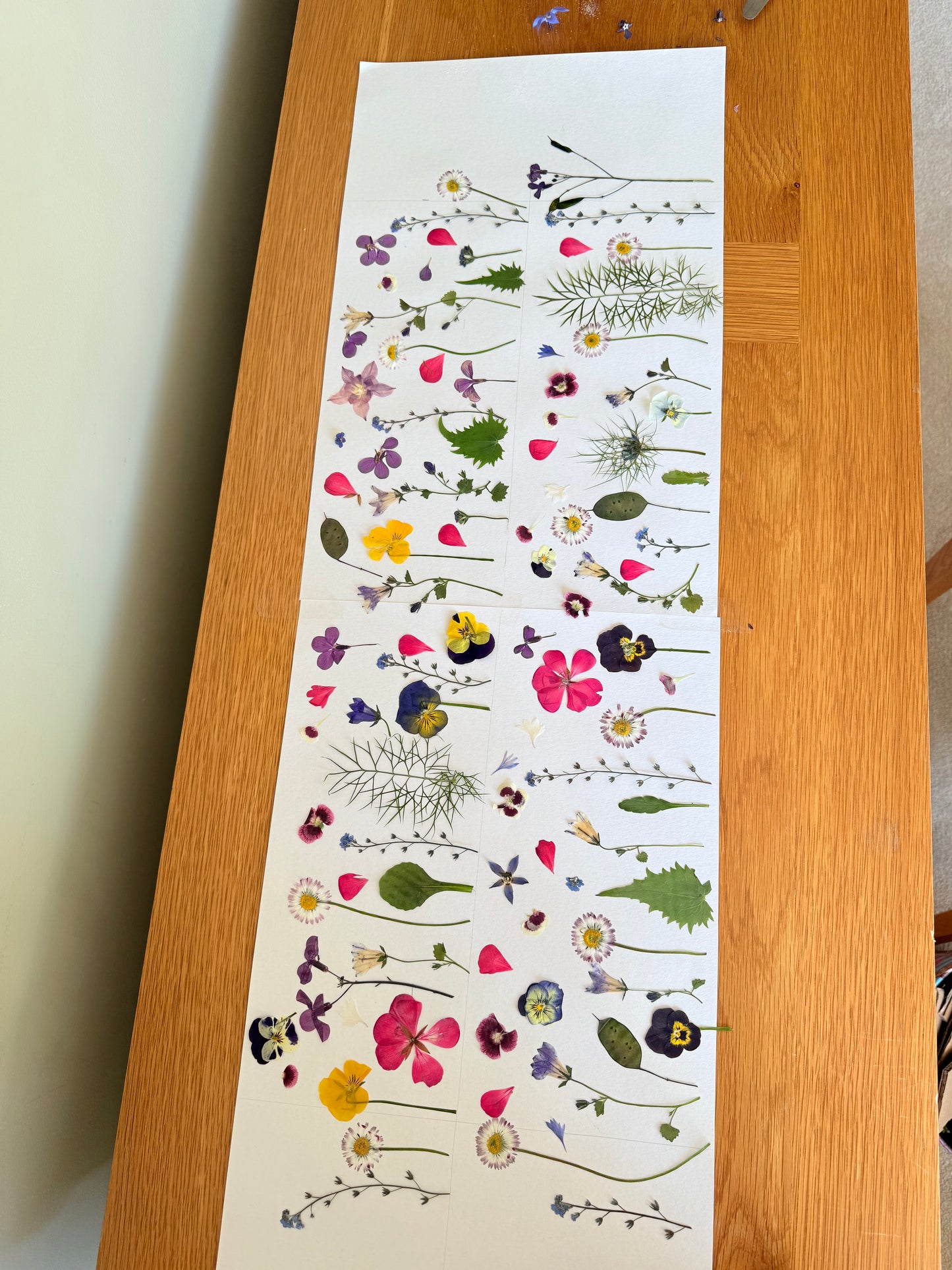 Pressed Edible Flowers - Mixed Varieties (9 inch cake pack)