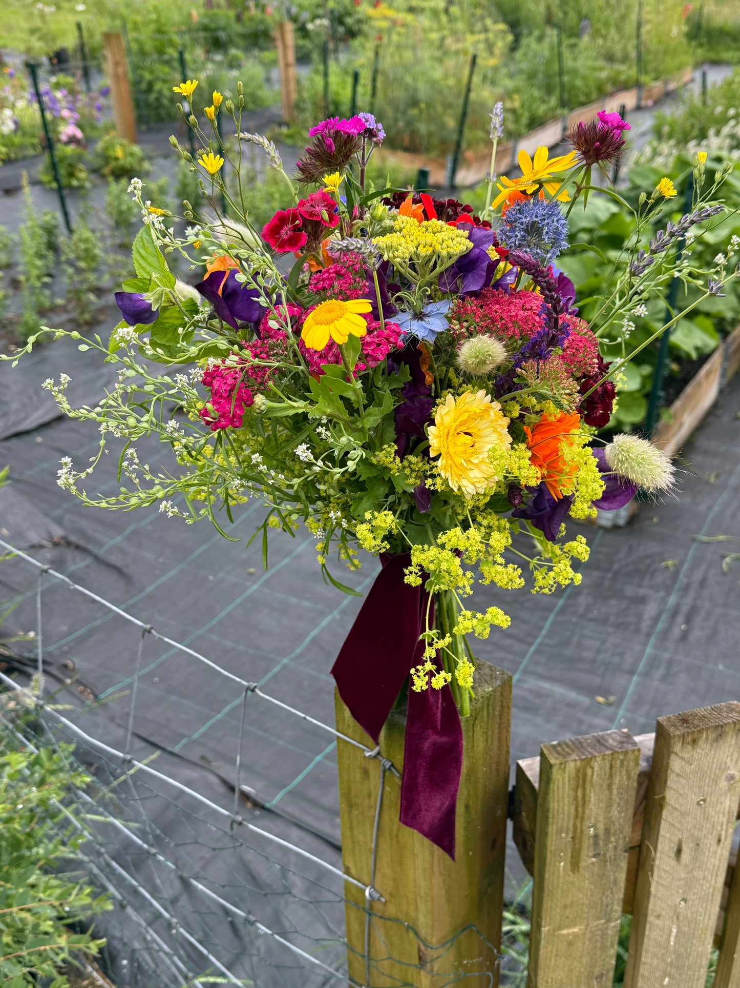 Shop Scottish Grown Wedding Flowers