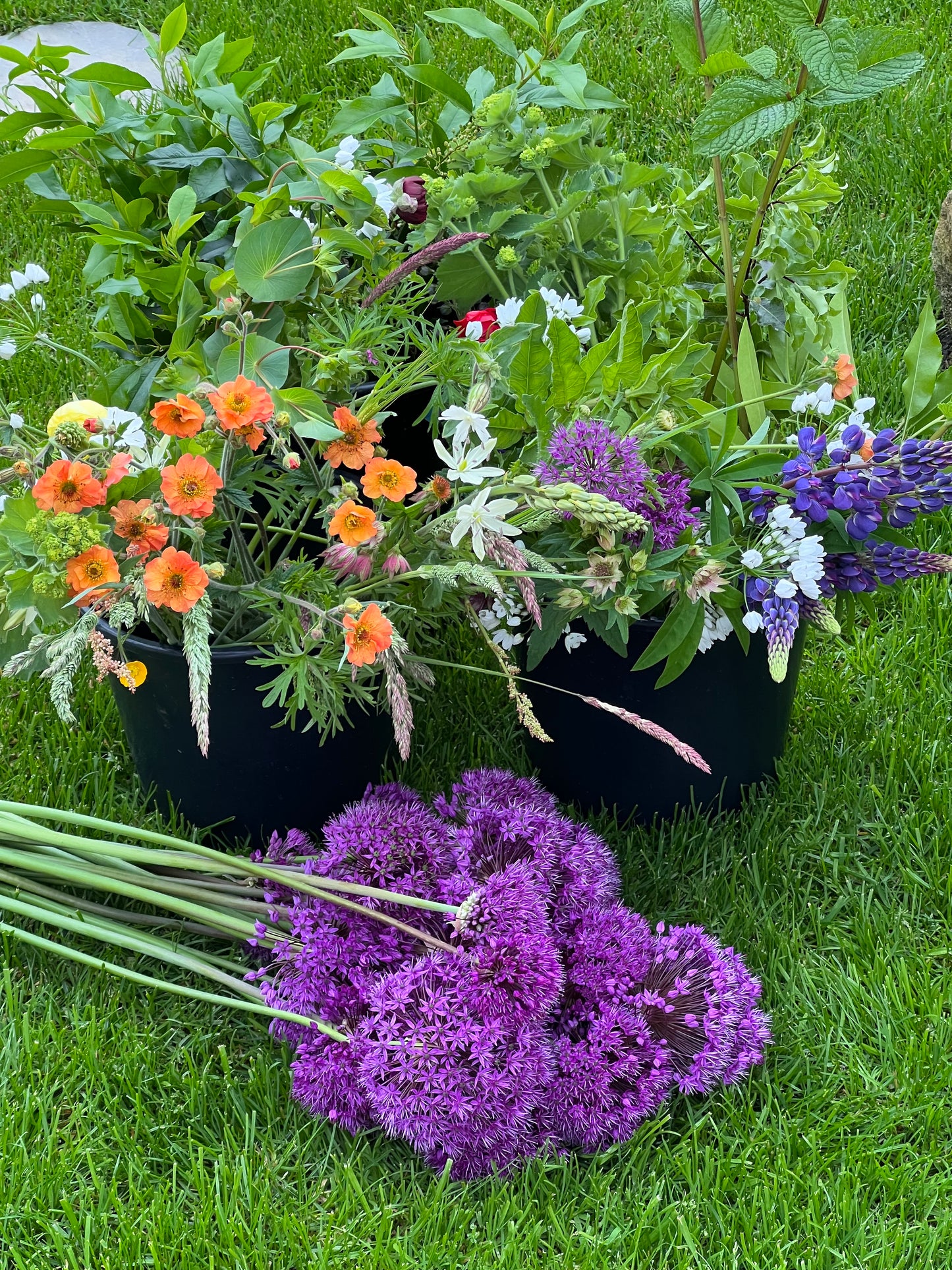 Flower Buckets - Medium