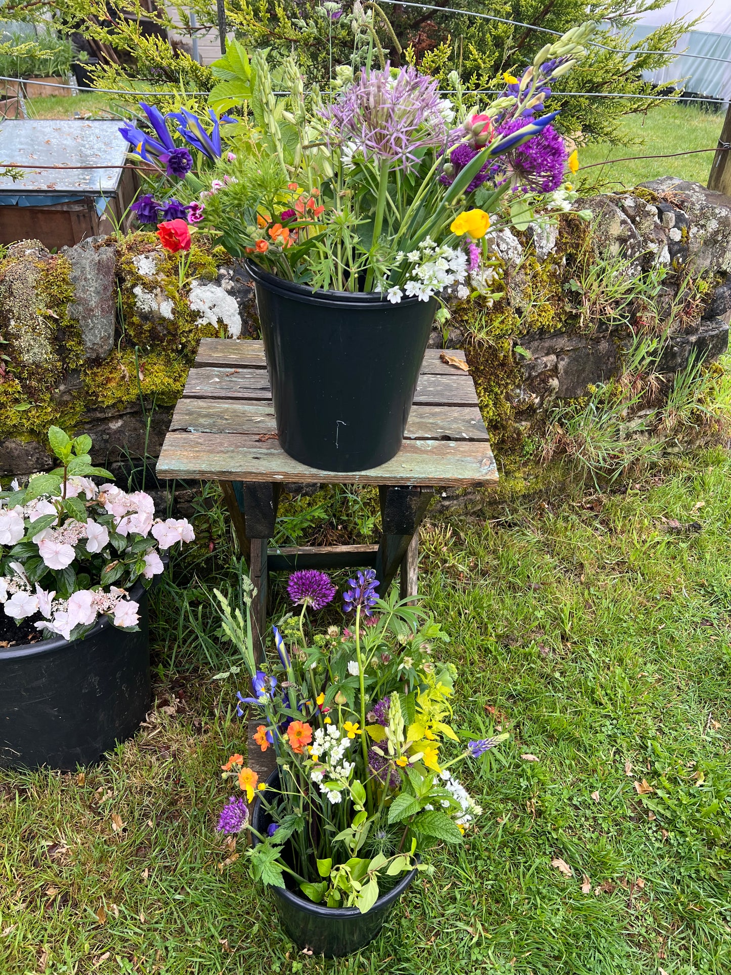 Flower Buckets - Medium