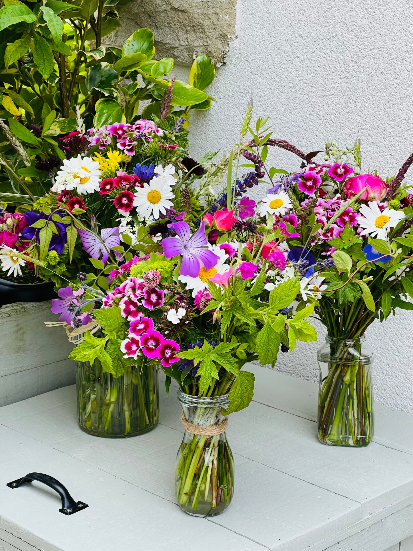 The Posy - Seasonal Scottish Flowers