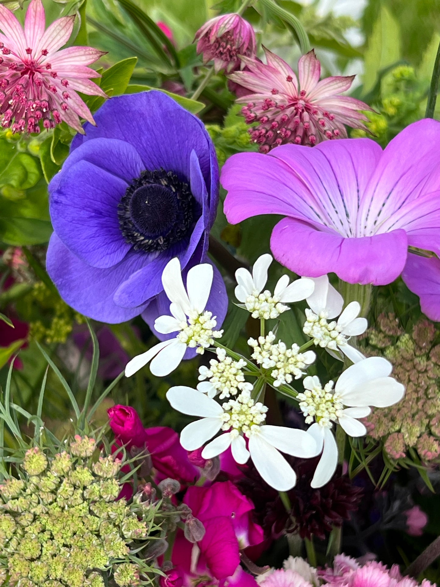 Wedding Flowers - Scottish Grown Hand Tied Bridal Bouquet