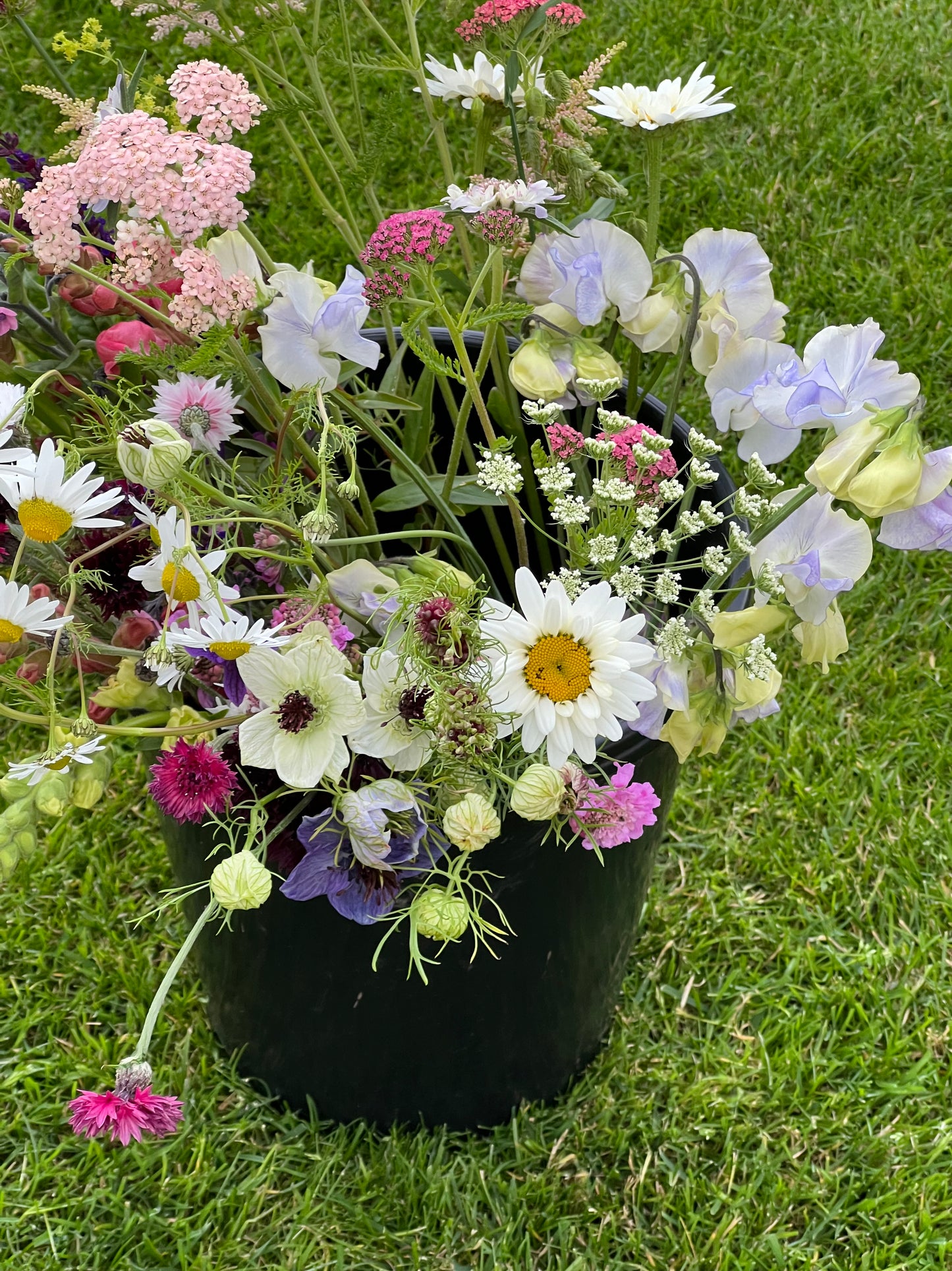 Flower Buckets - Medium