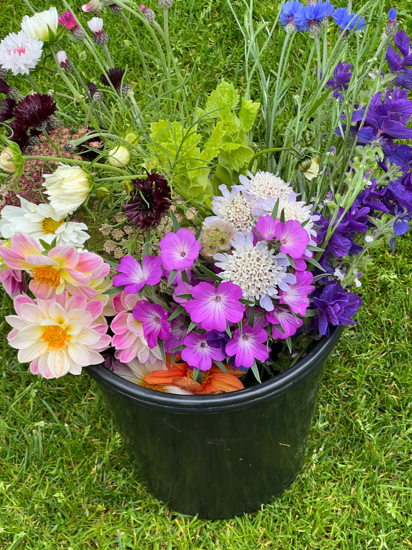 Flower Buckets - Medium