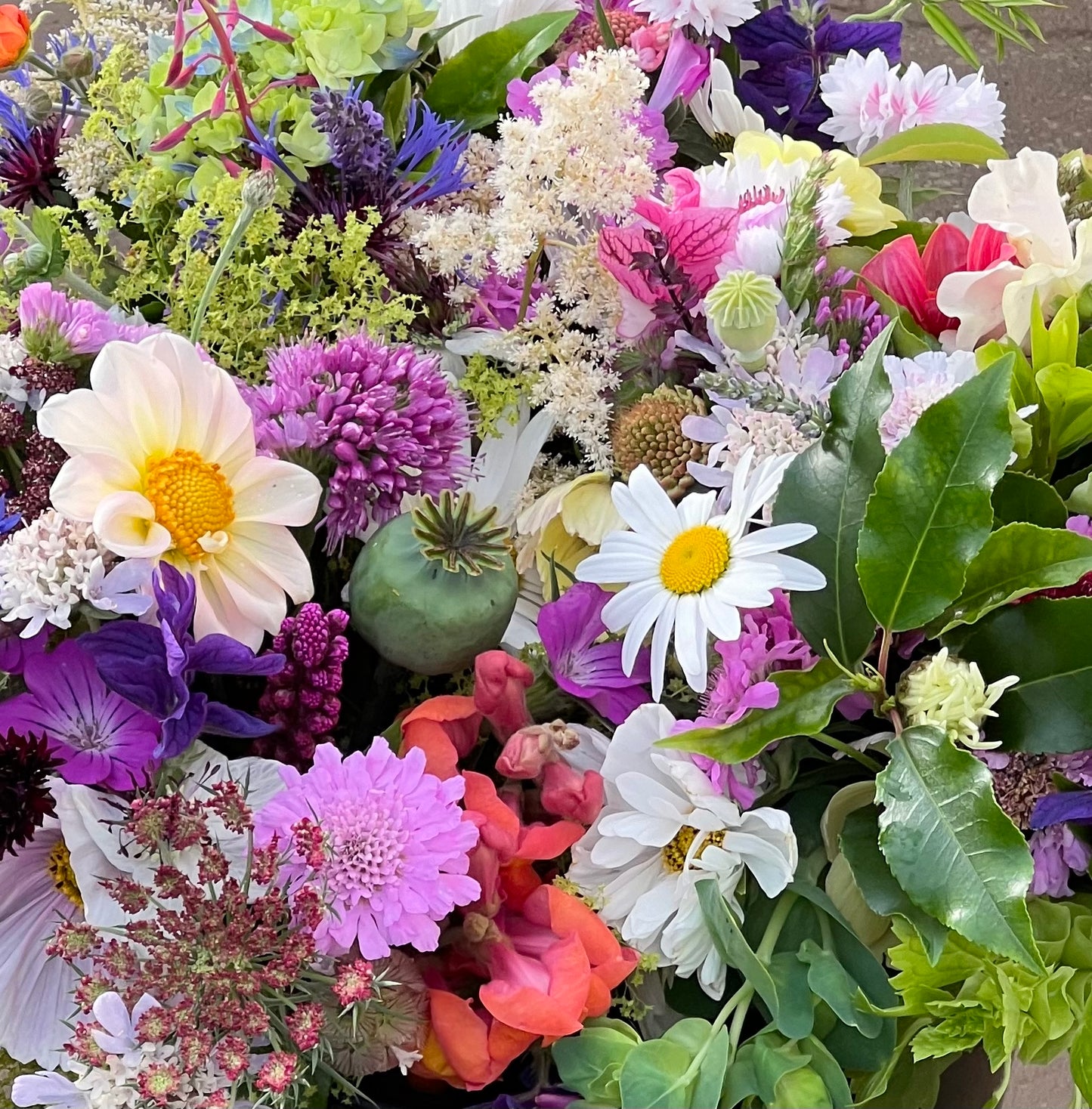 Scottish Monthly Flower Delivery (Prepaid) | 3, 6 or 9 Months | Starts April
