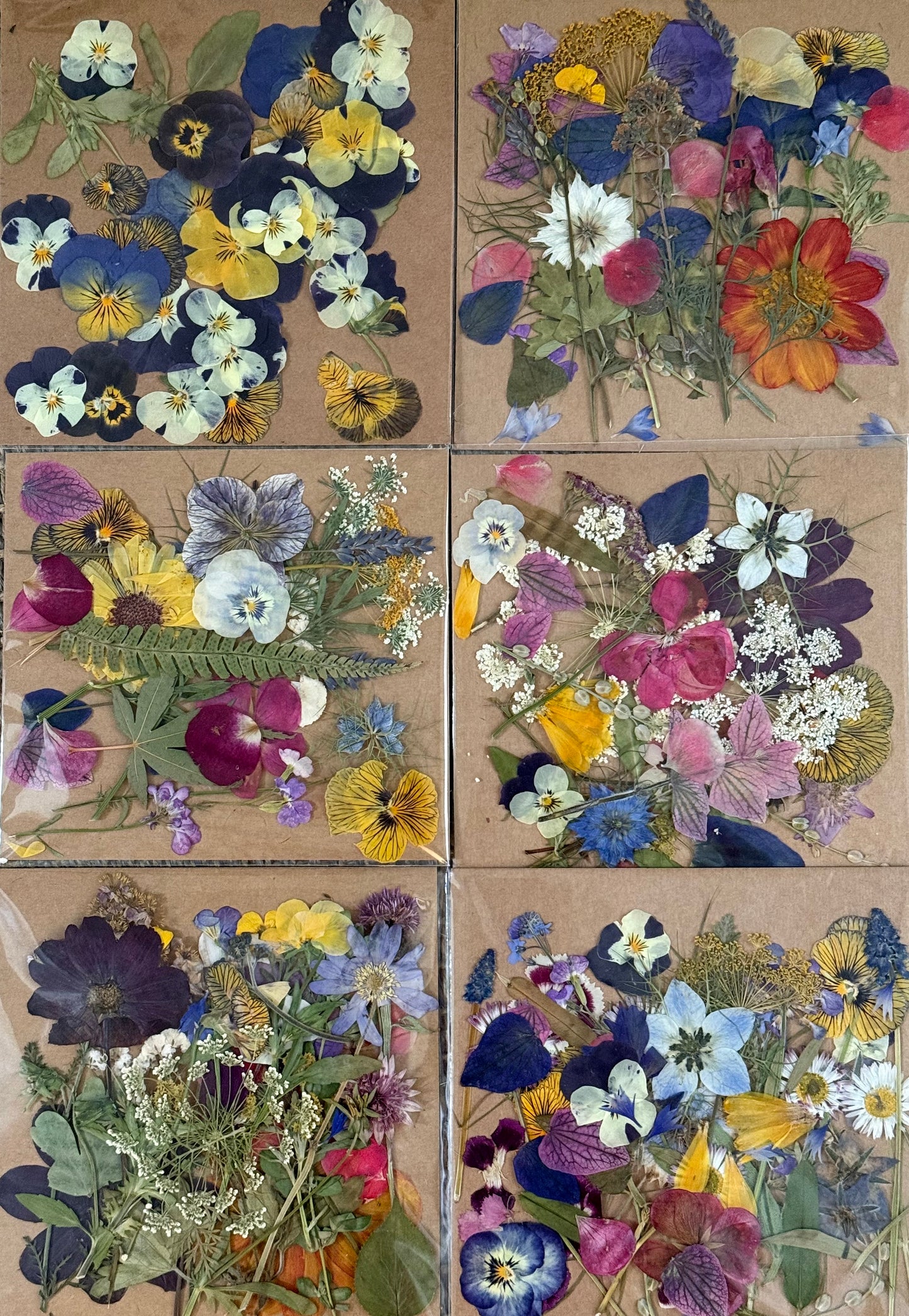 Pressed Flower Packs