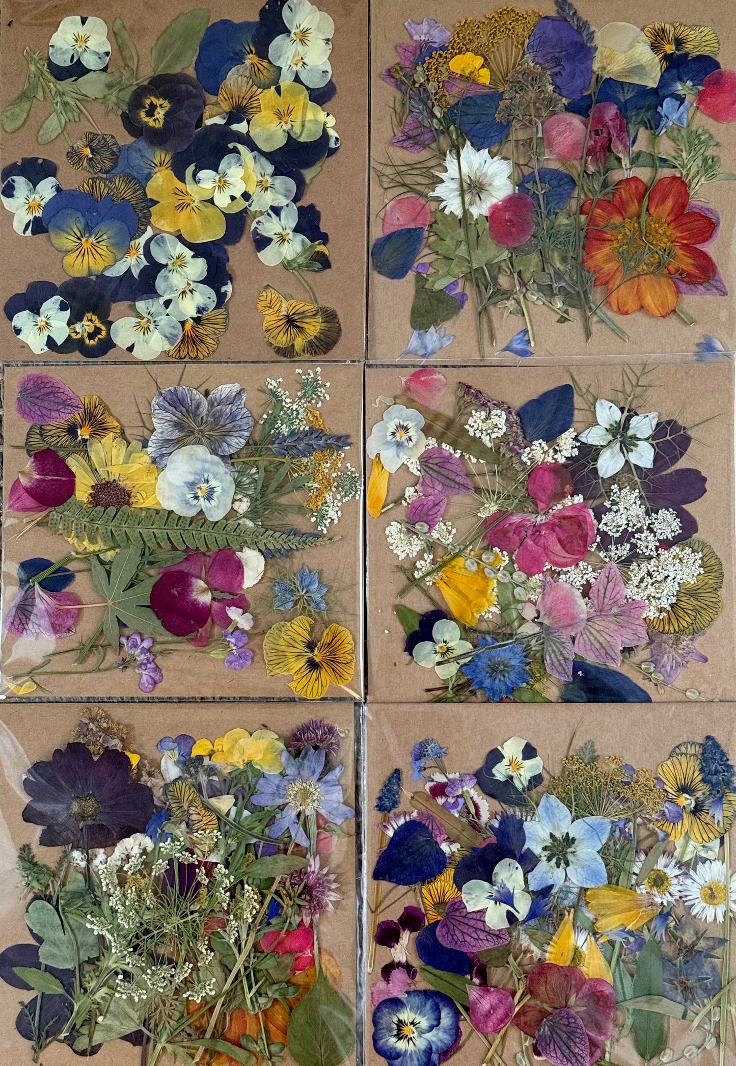 Flower Pressing Workshop – Learn to Press & Preserve Your Own Flowers (Bespoke)
