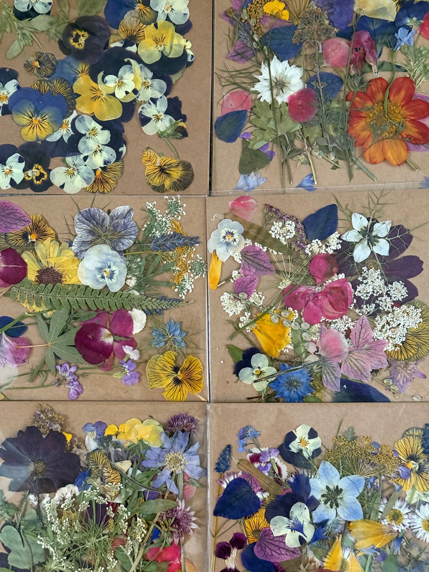 Pressed Flower Packs