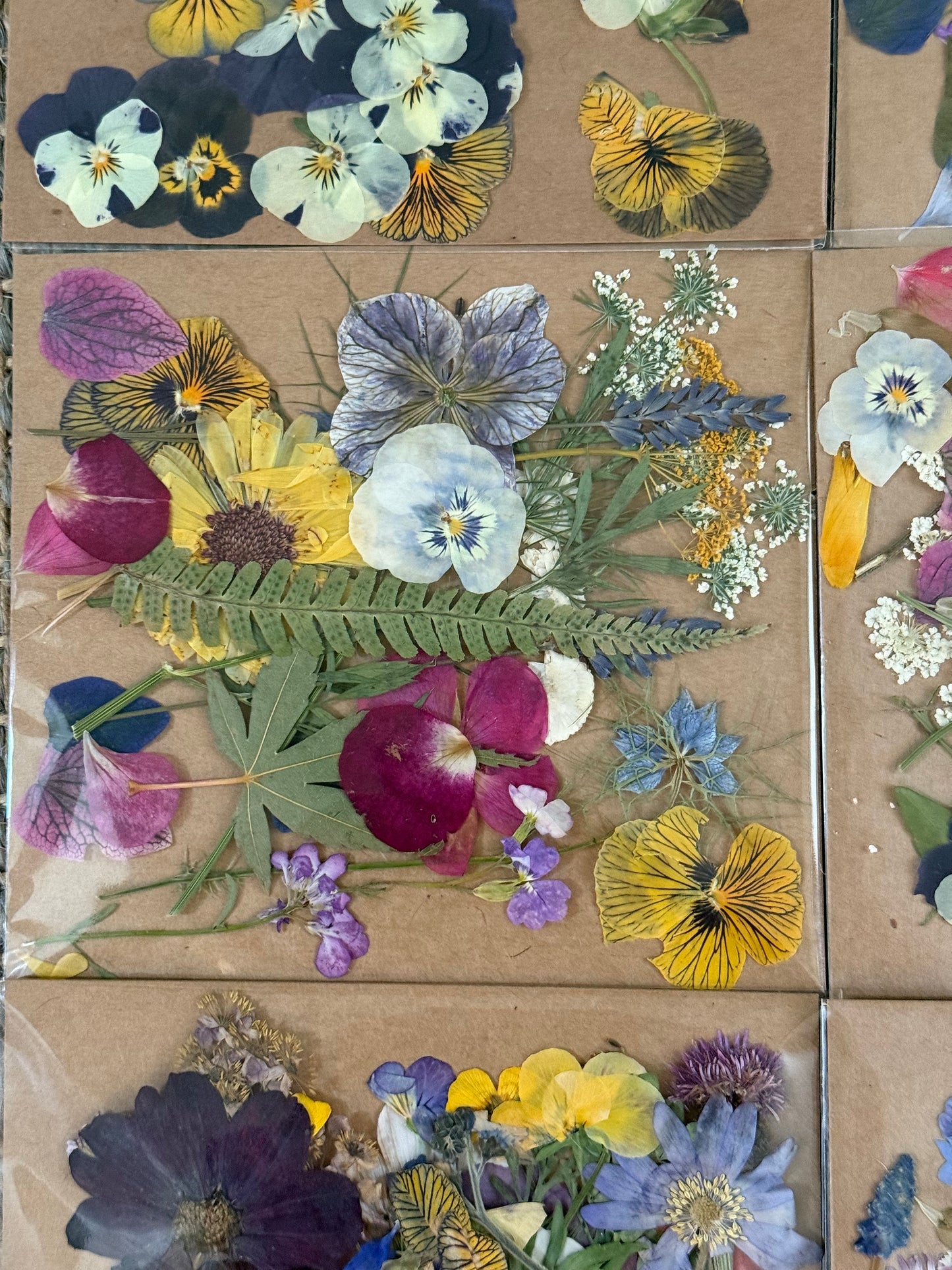 Pressed Flower Packs