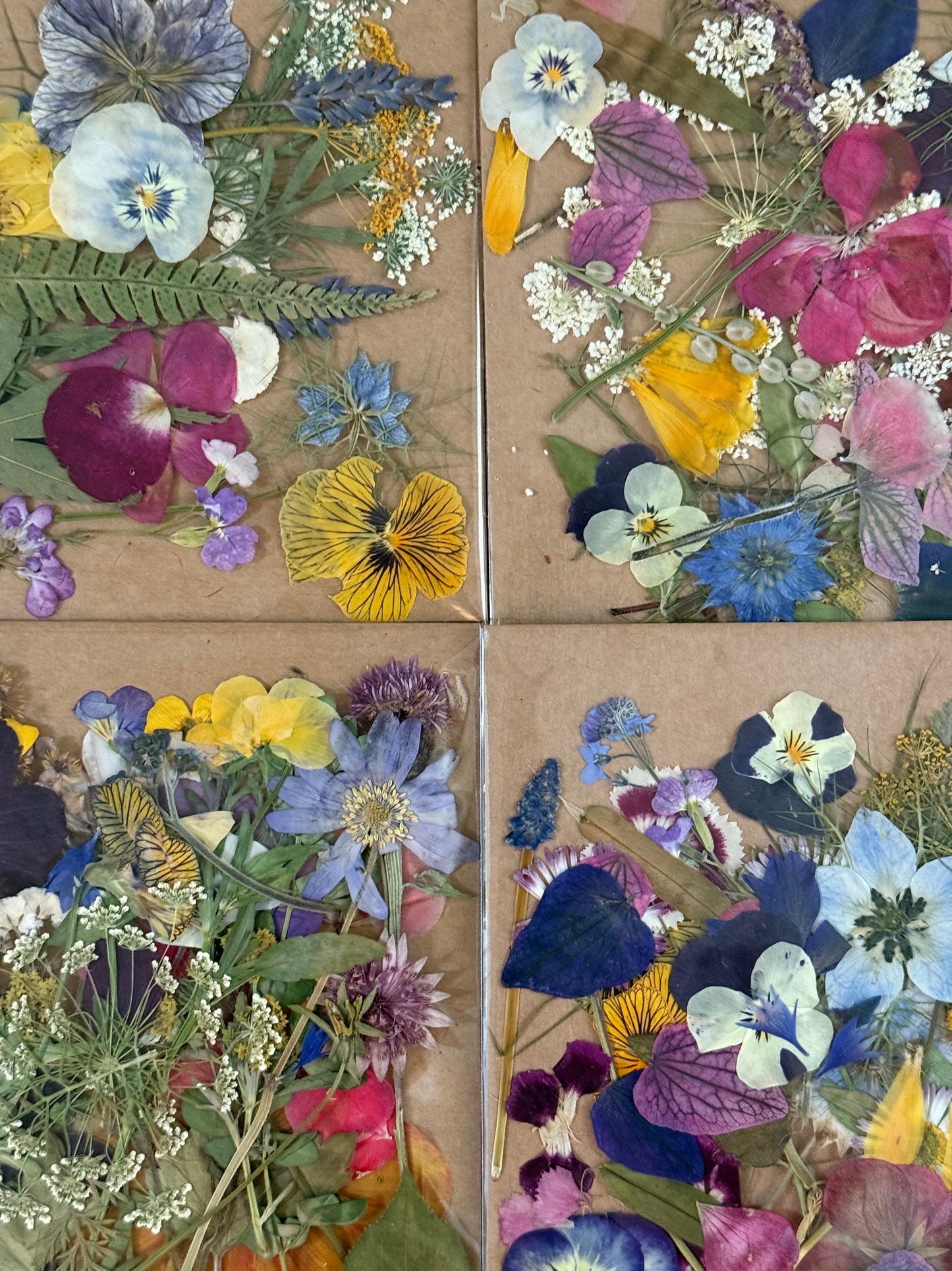 Pressed Flower Packs