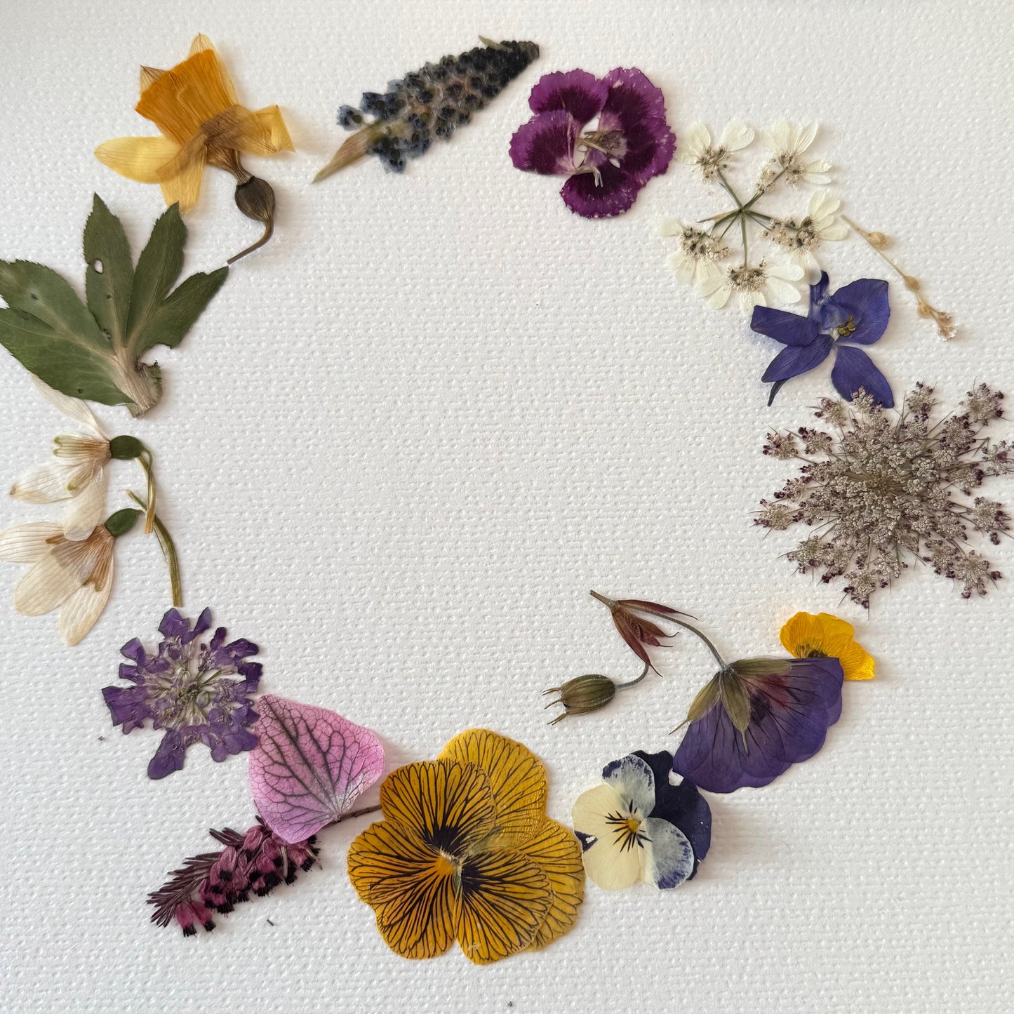 Designing with Pressed Flowers - Spring Pressed Flower Workshop