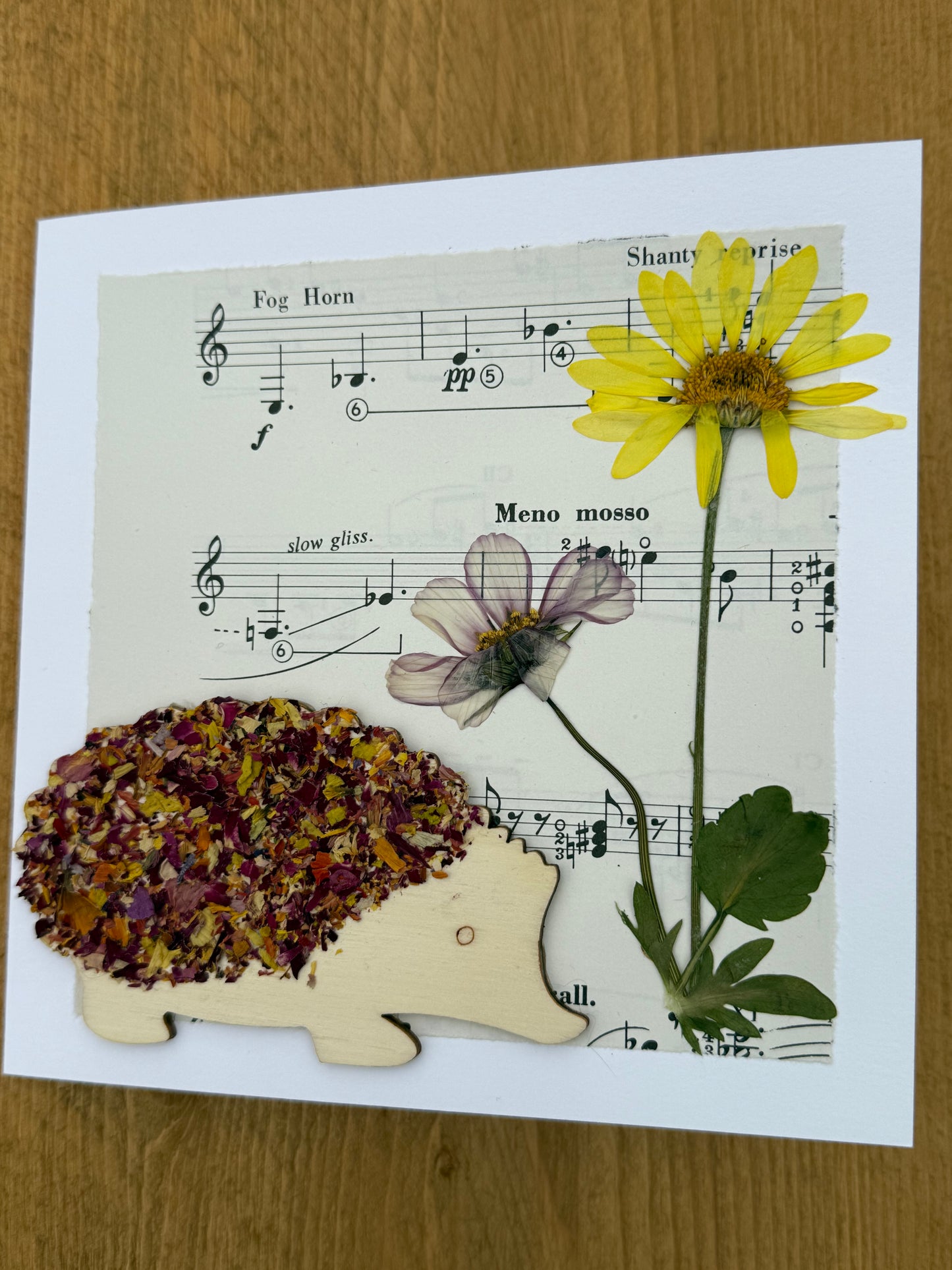 5 Scottish Handmade Greetings Cards - Mixed Selection Pack