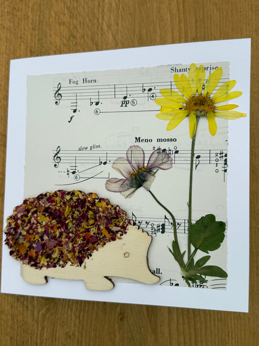 10 Scottish Handmade Greetings Cards - Mixed Selection Pack