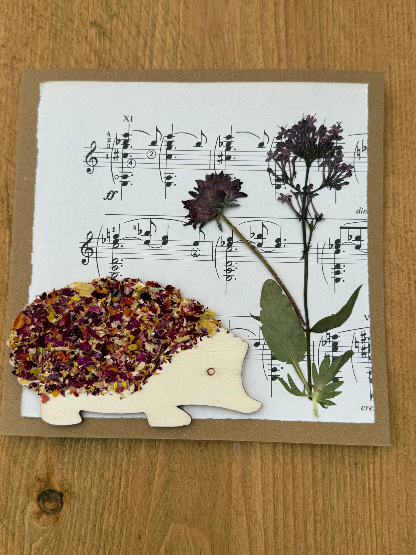 5 Scottish Handmade Greetings Cards - Mixed Selection Pack