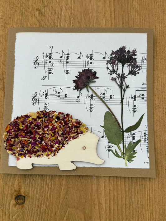 5 Scottish Handmade Greetings Cards - Mixed Selection Pack