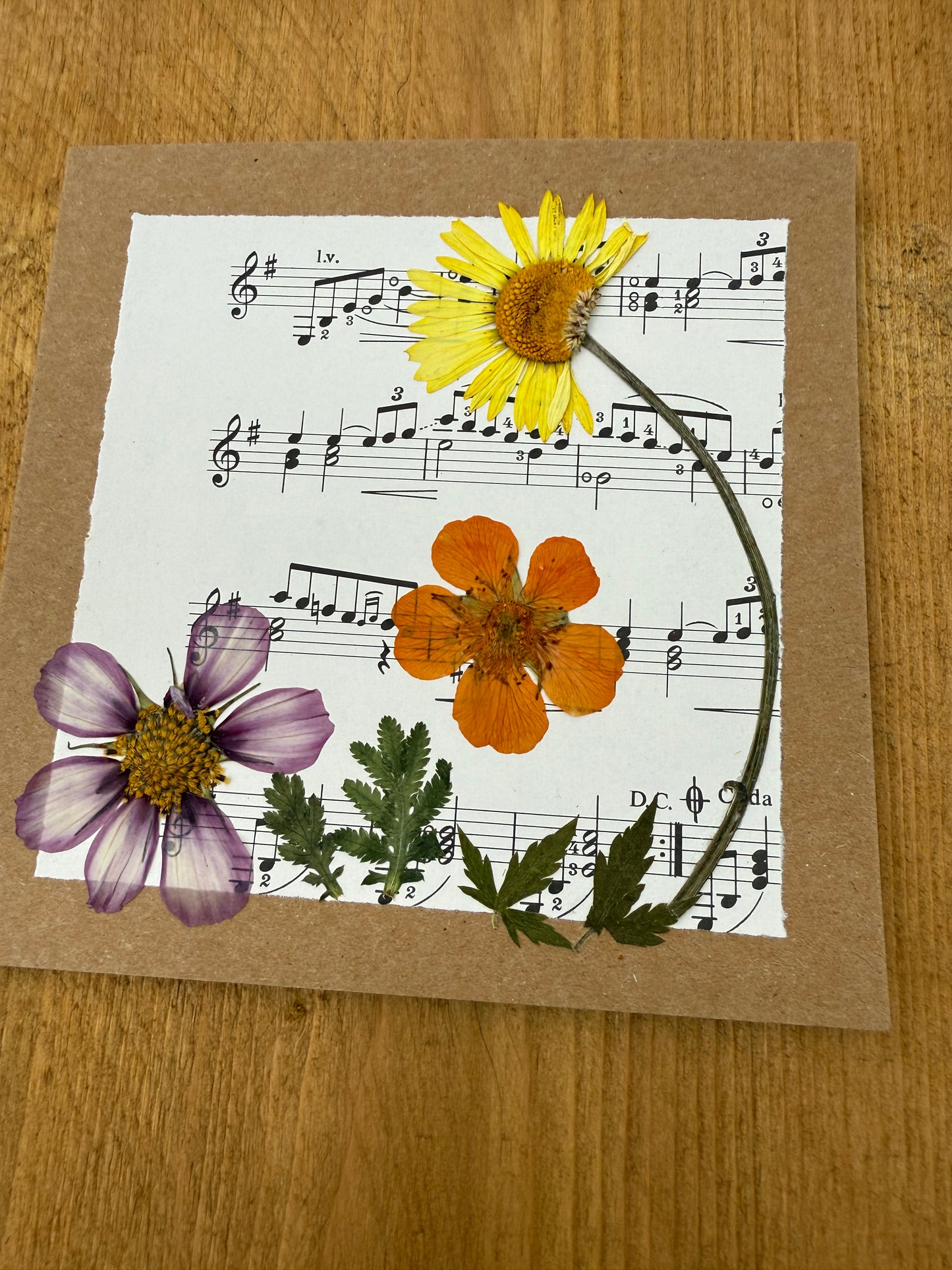 5 Scottish Handmade Greetings Cards - Mixed Selection Pack