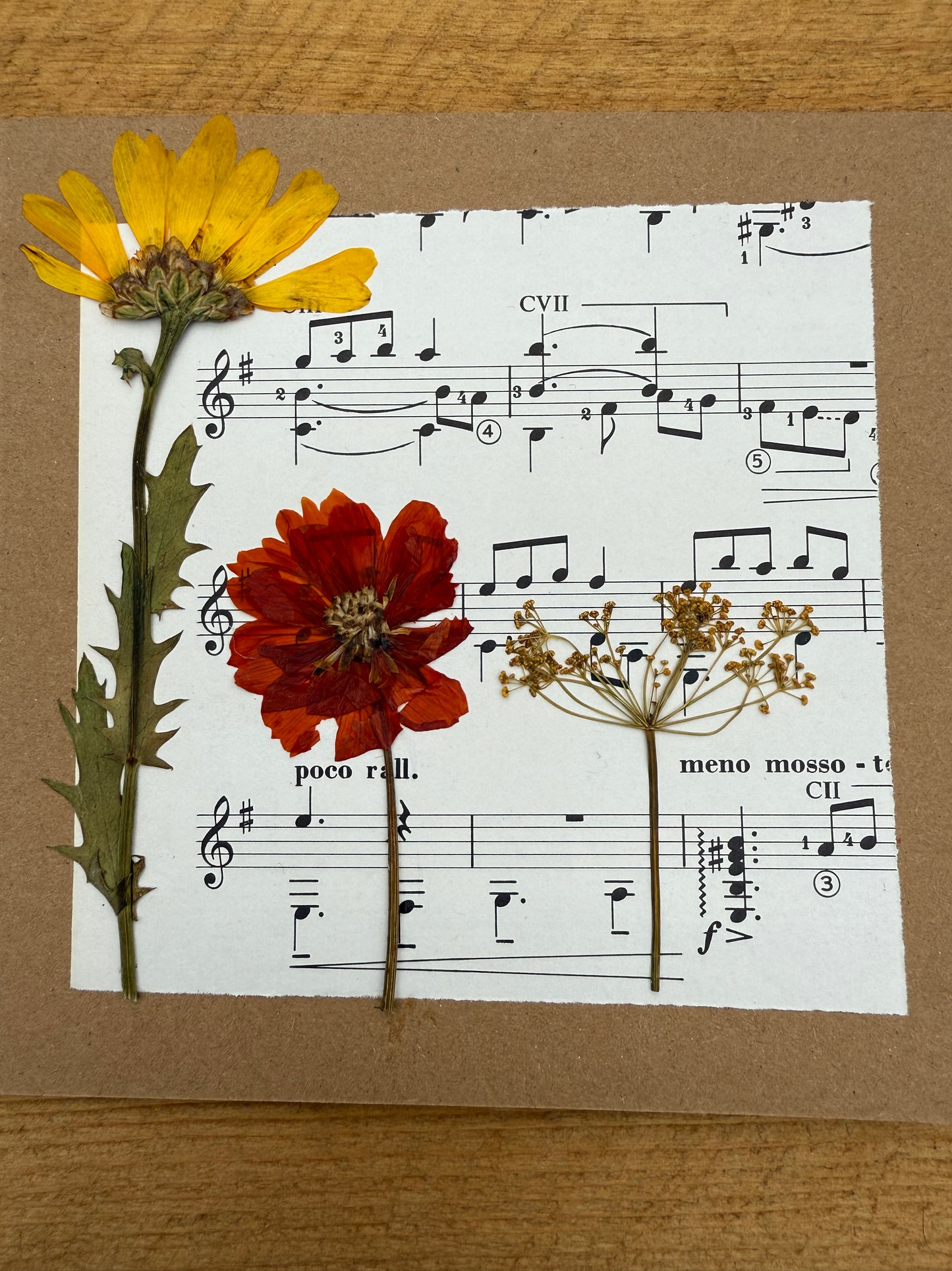 Single Scottish Handmade Greetings Card - Seasonal Selection