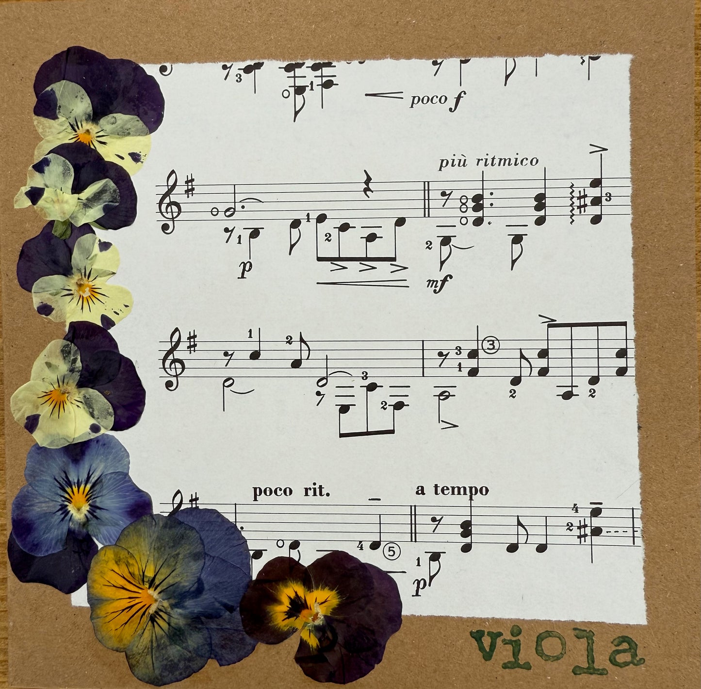 Flower Pressing Workshop – Learn to Press & Preserve Your Own Flowers (Bespoke)