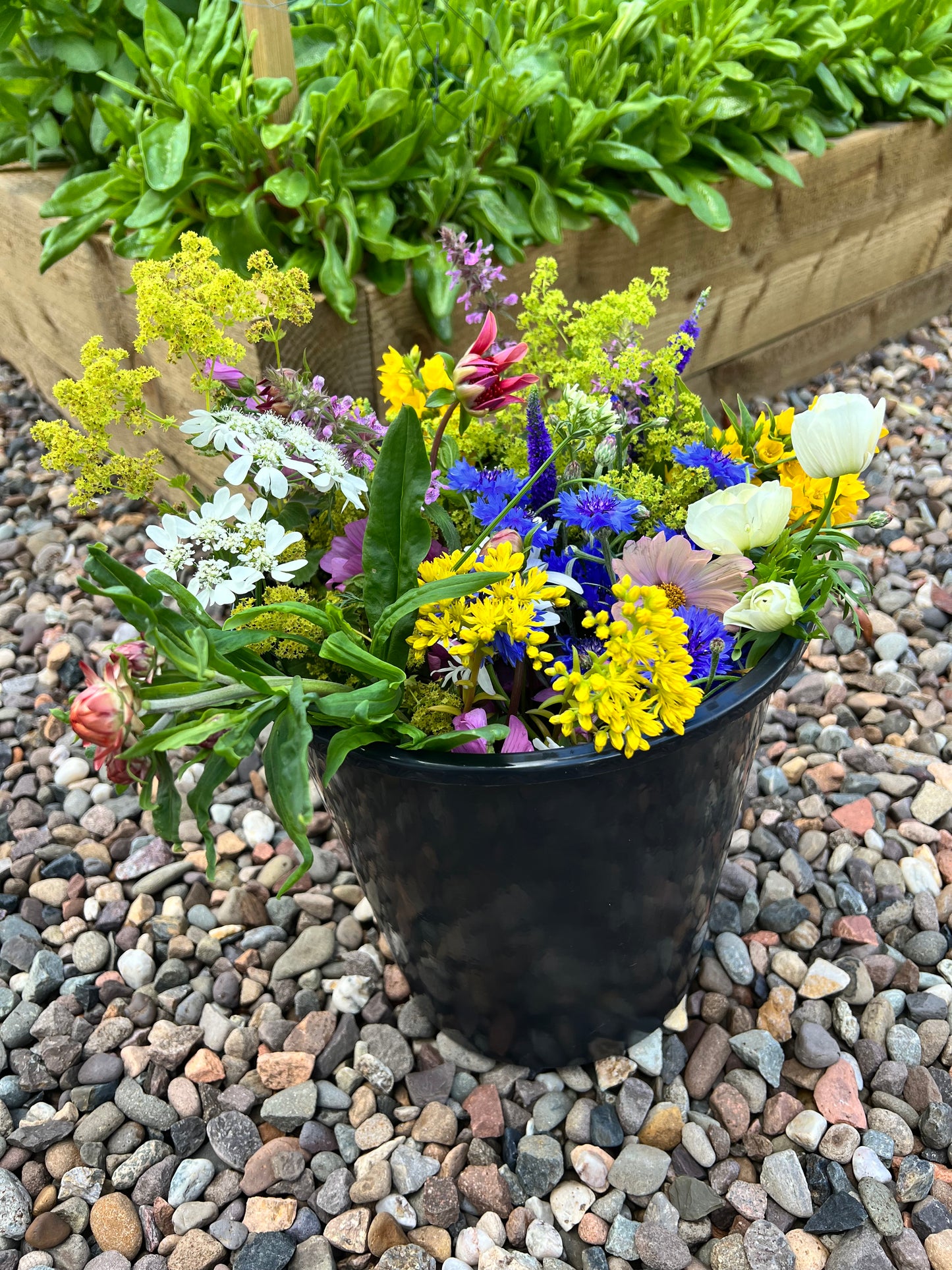 Flower Buckets - Medium