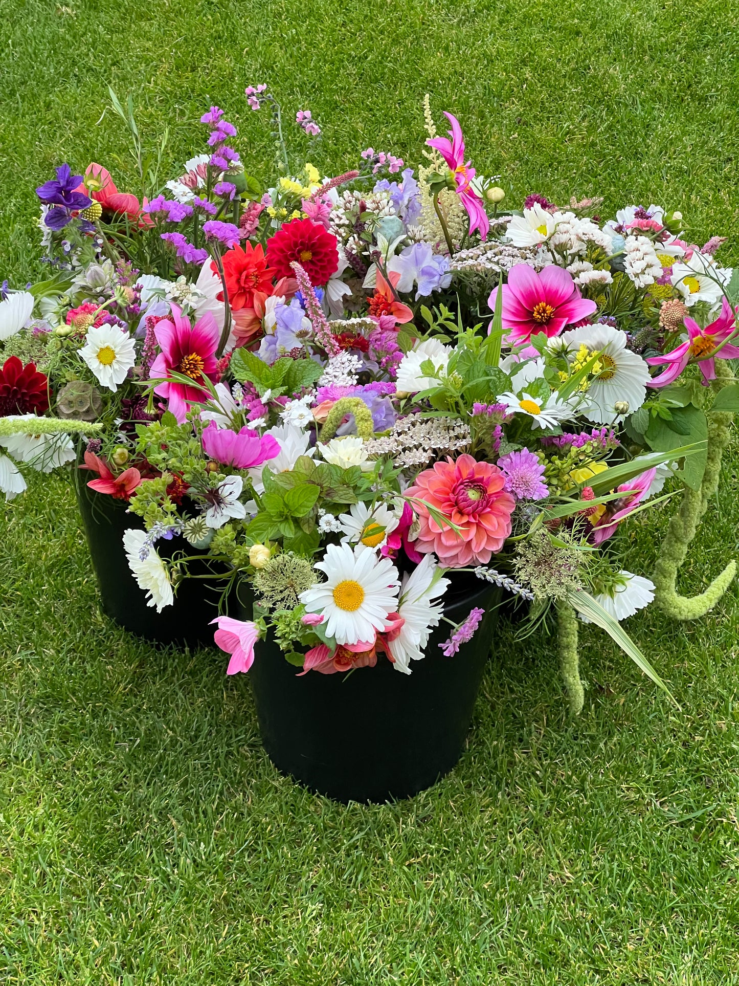 Flower Buckets - Medium