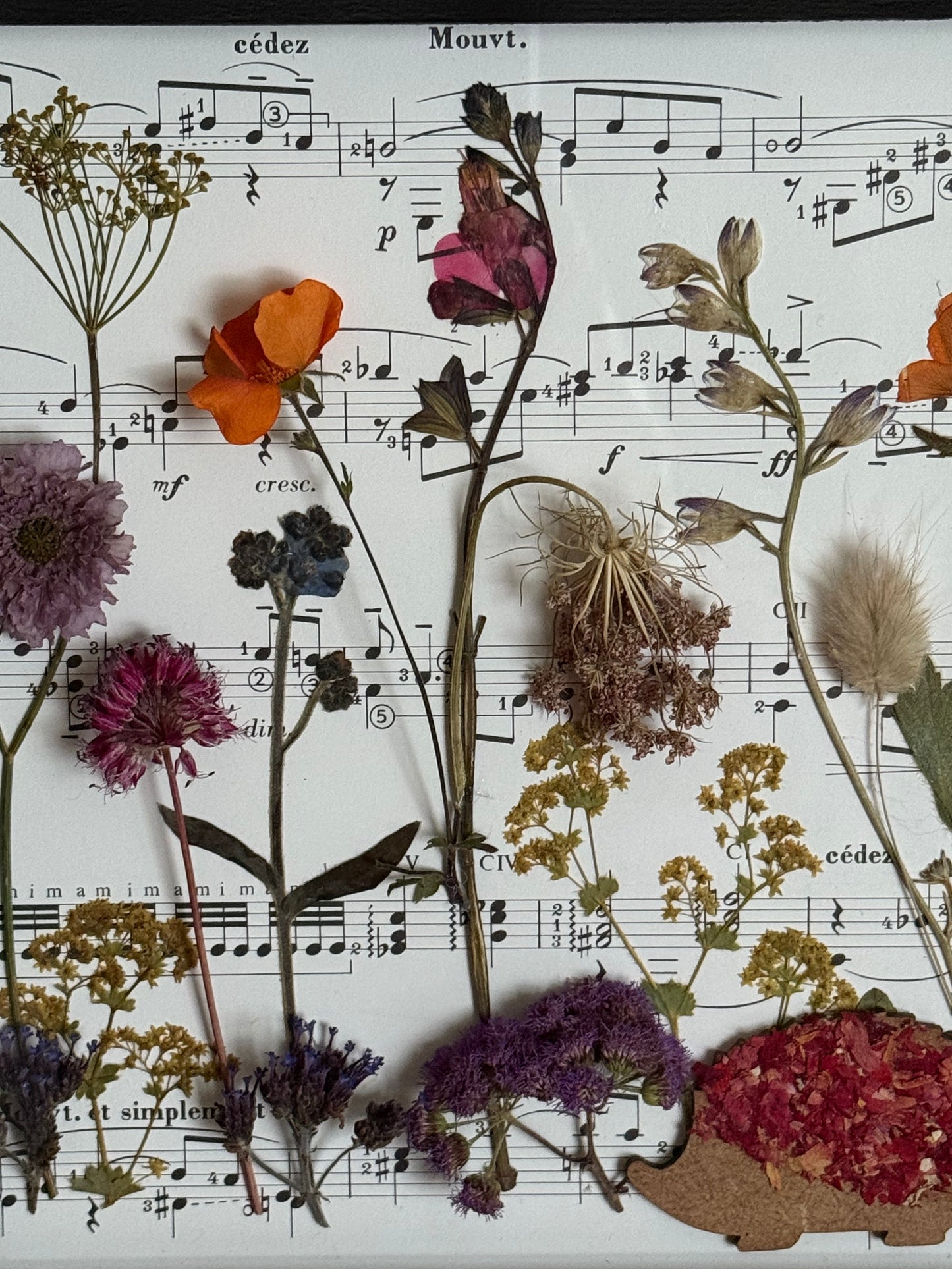 A Musical Forager's Garden