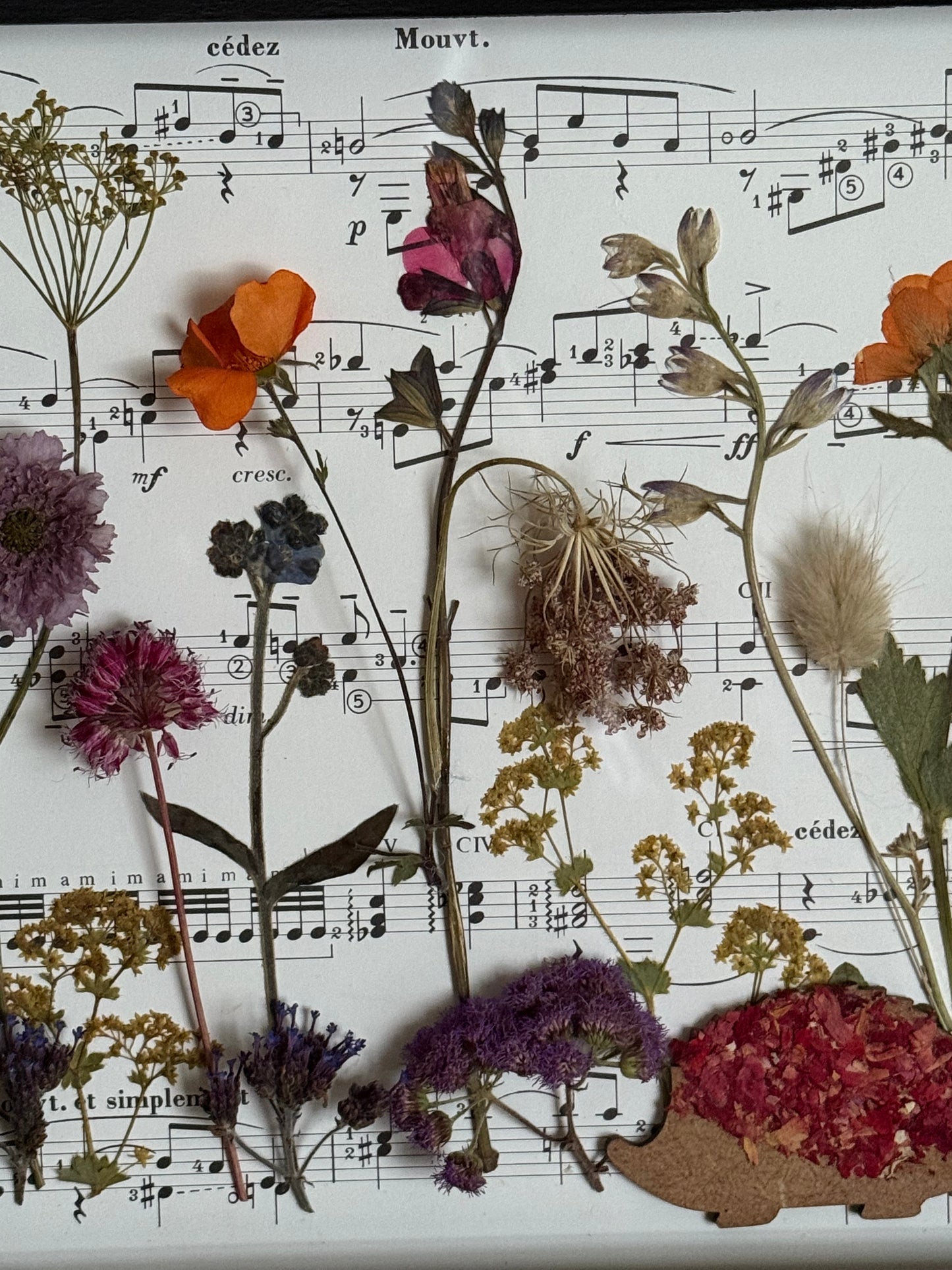 A Musical Forager's Garden