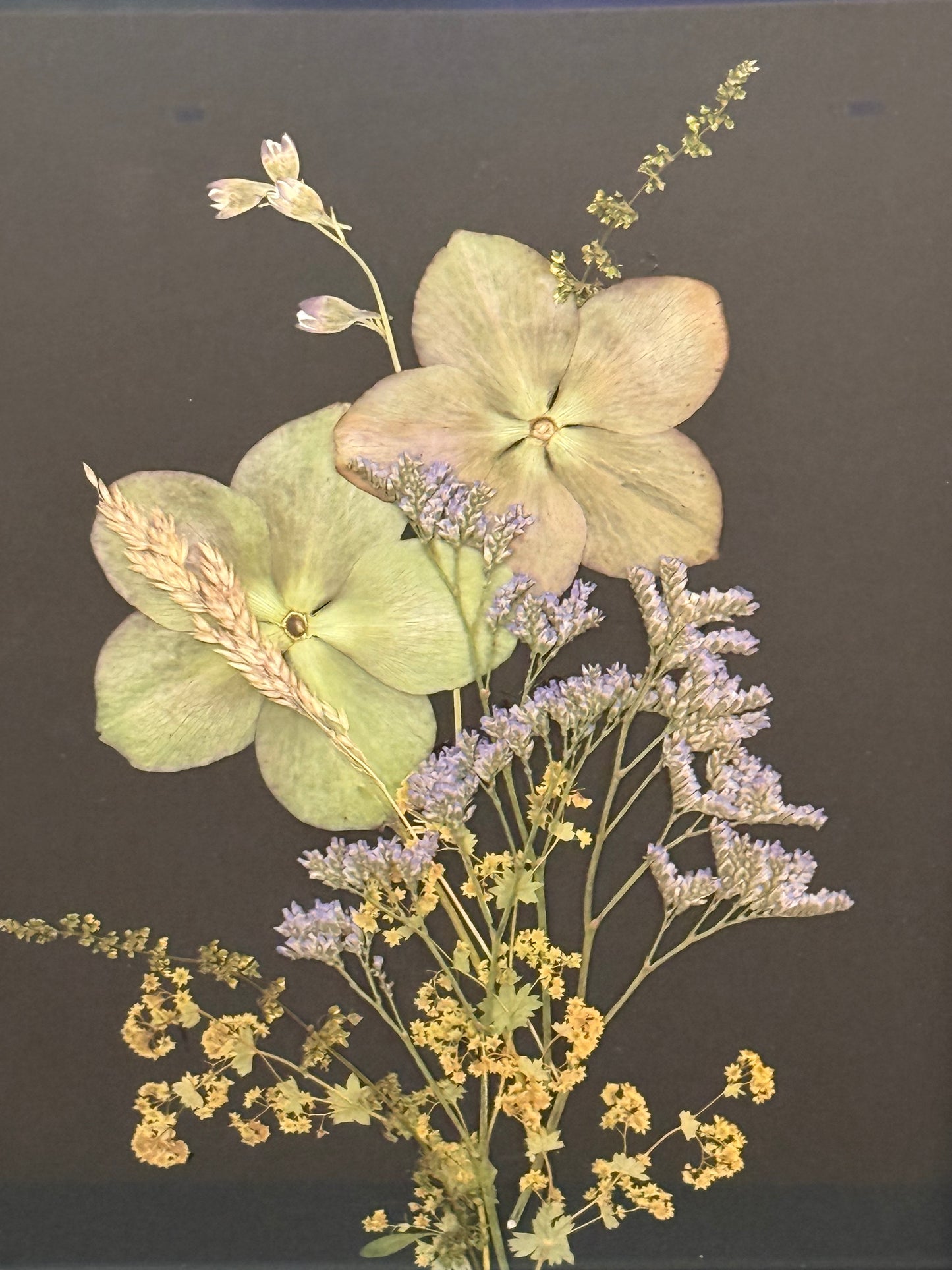 Hellebore Garden Meadow